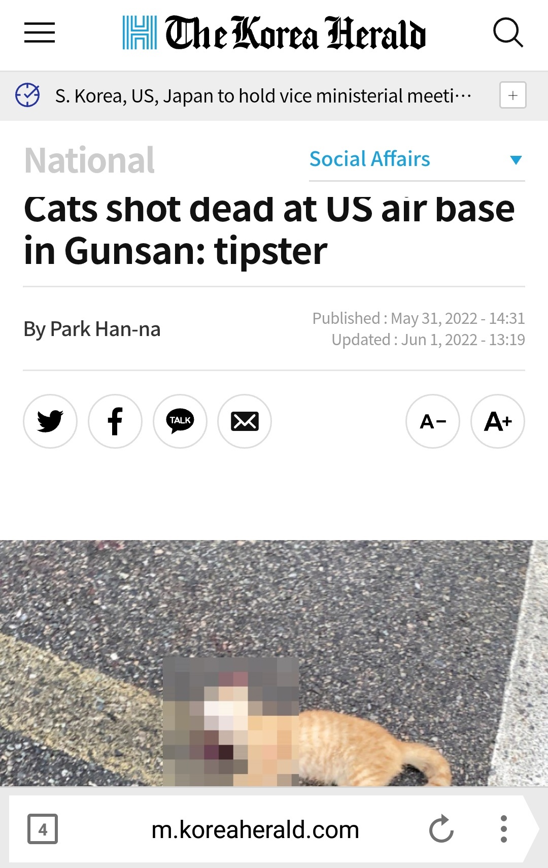 US army vs cats - US Army, Cruelty to animals, cat, Longpost