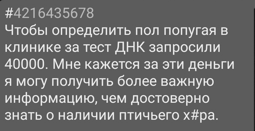 За информацию надо платить - Картинка с текстом, Попугай, ДНК, Пол, Деньги, Дорого, Ветеринарная клиника, Информация