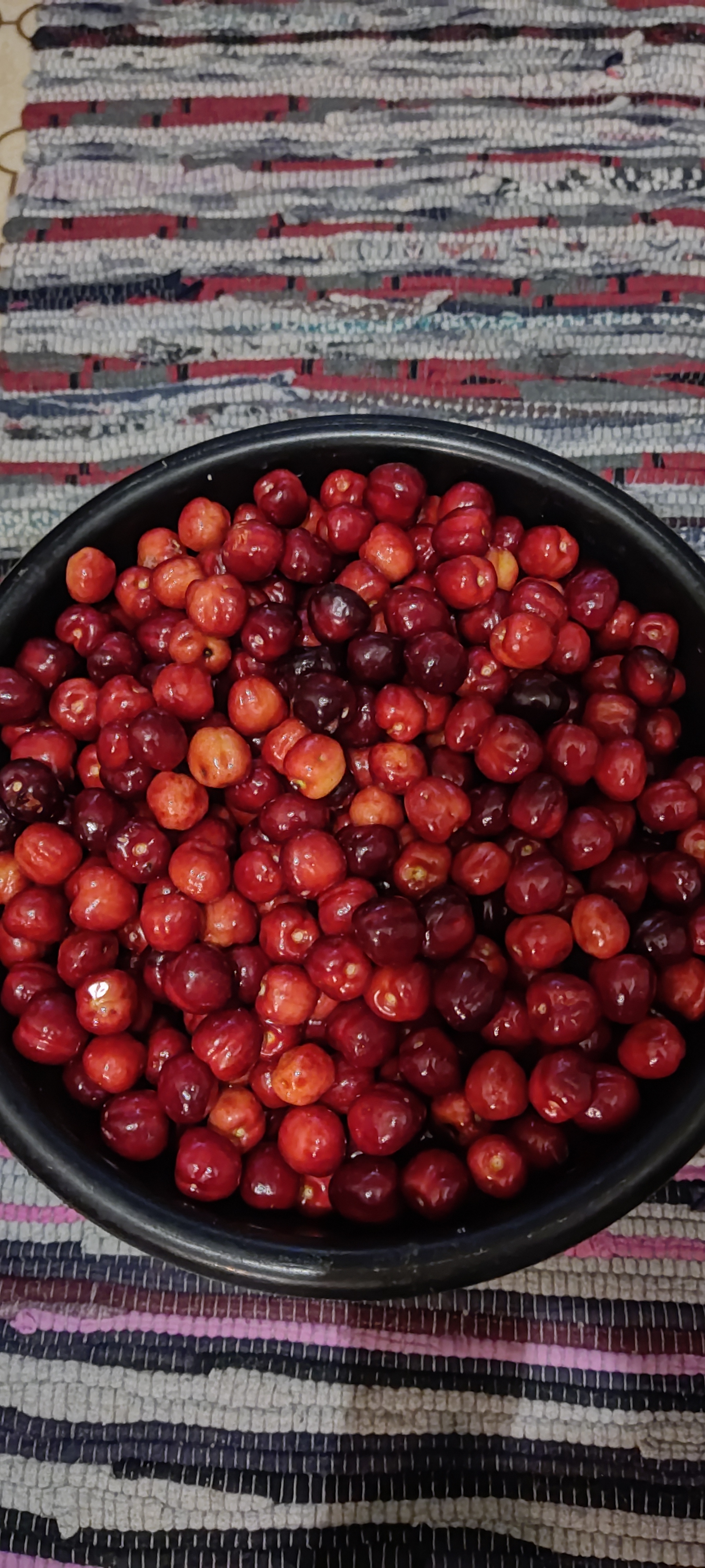 Harvest! A bucket of cherries))) - The photo, Kuban, Summer, Village, Cherries, Longpost