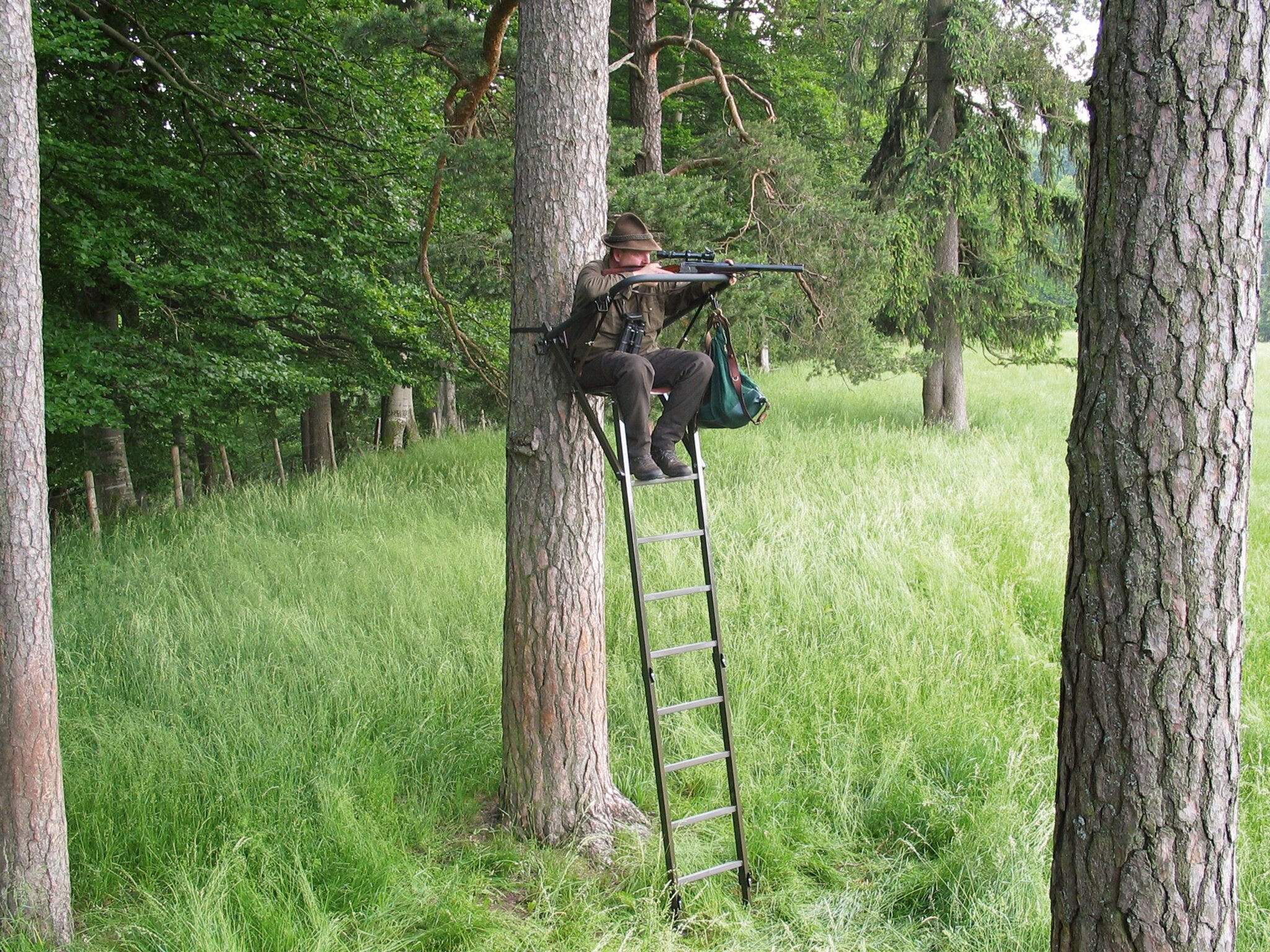 It's dangerous to drive through our forests, or the hard life of German MTBs - A bike, Forest, Stupid laws, Germany, Wild animals, Hunter, Longpost