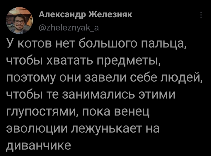 Венец эволюции - Юмор, Забавное, Twitter, Кот, Скриншот