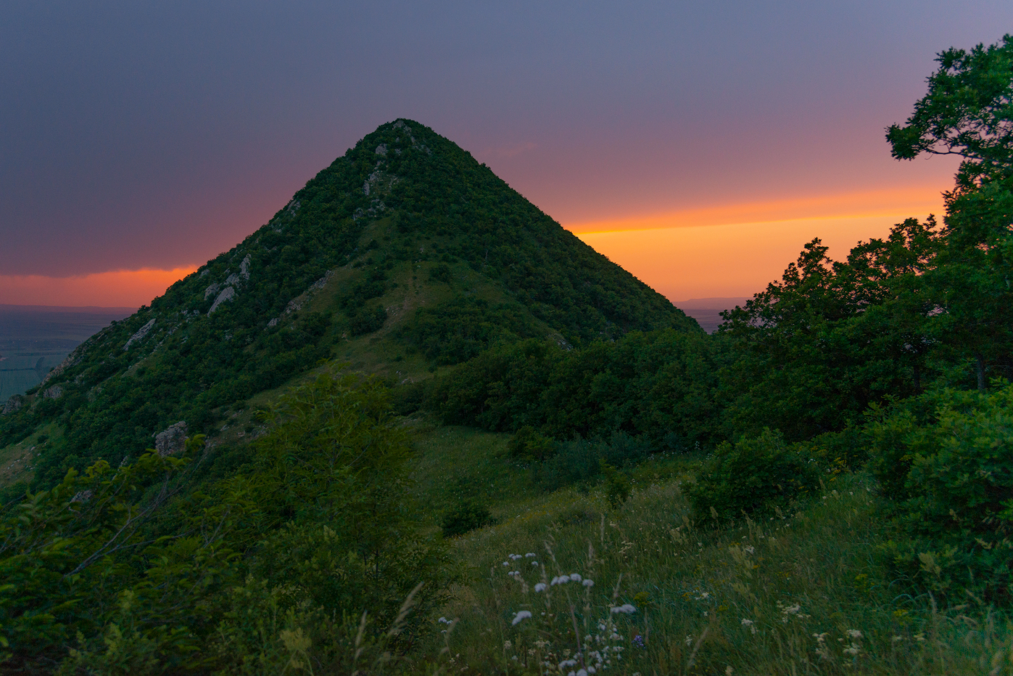 Poppies at sunset and the sun on the mountainside - My, The photo, Caucasian Mineral Waters, Landscape, Poppy, Sunset, Longpost