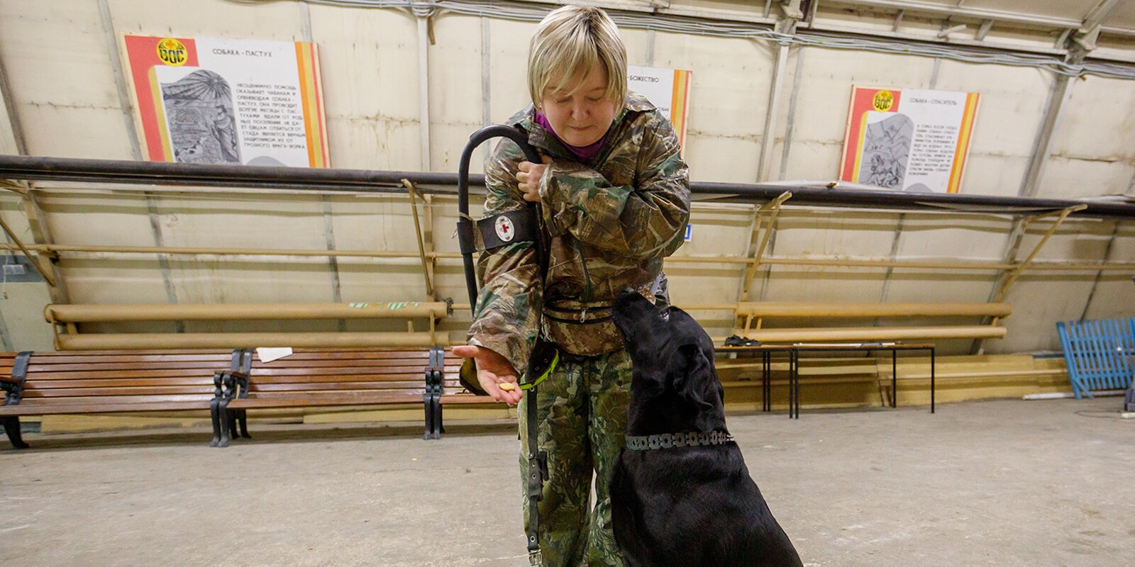 Four-legged helpers: how guide dogs are prepared for blind people - Animals, Dog, Guide-dog, Guide, Moscow, Longpost