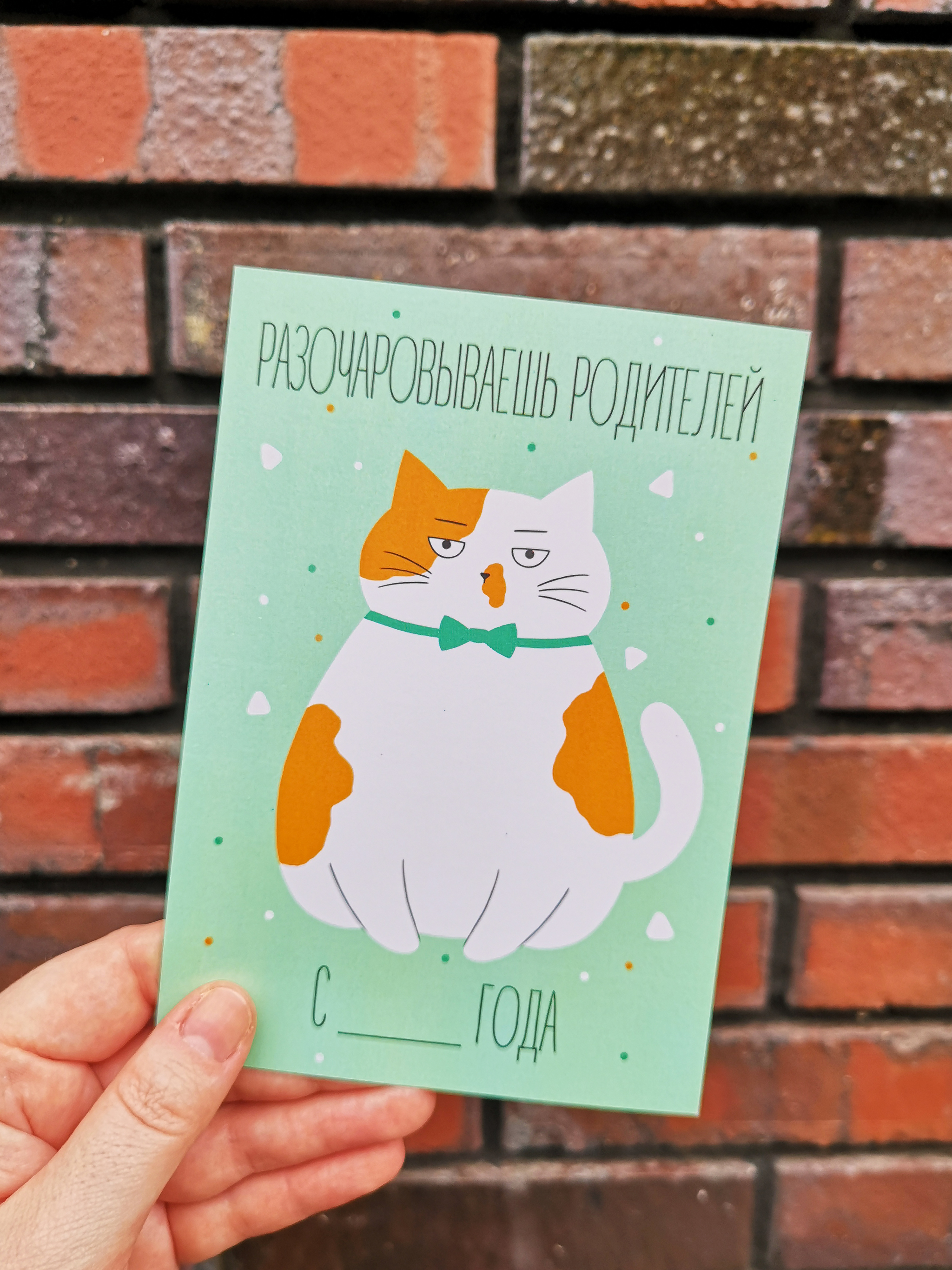CAT is back! - My, cat, Postcard, Longpost