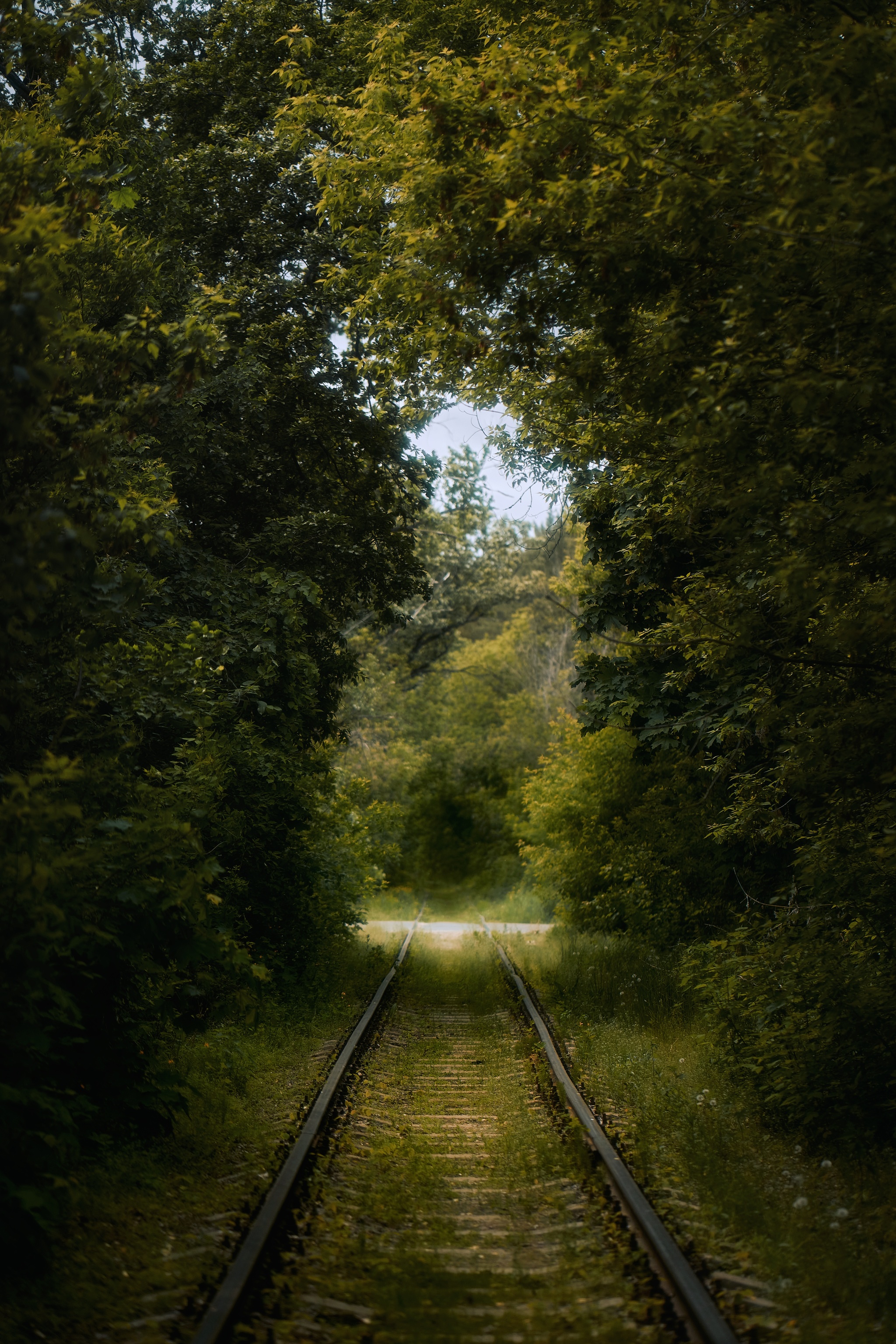 Living tunnel in Kazan - My, Kazan, Railway, Longpost