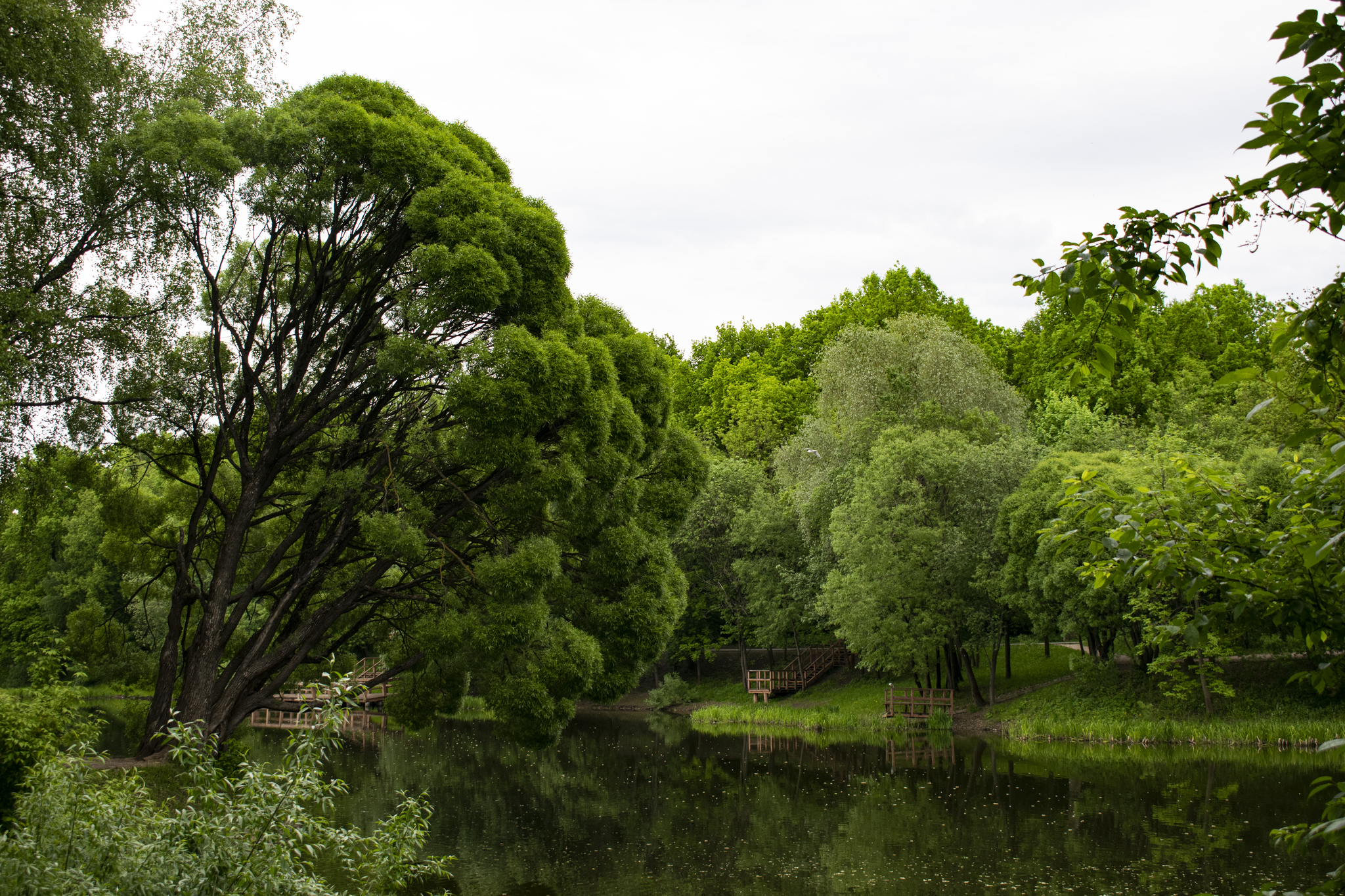 VDNH - My, Hobby, The photo, Nature, Longpost