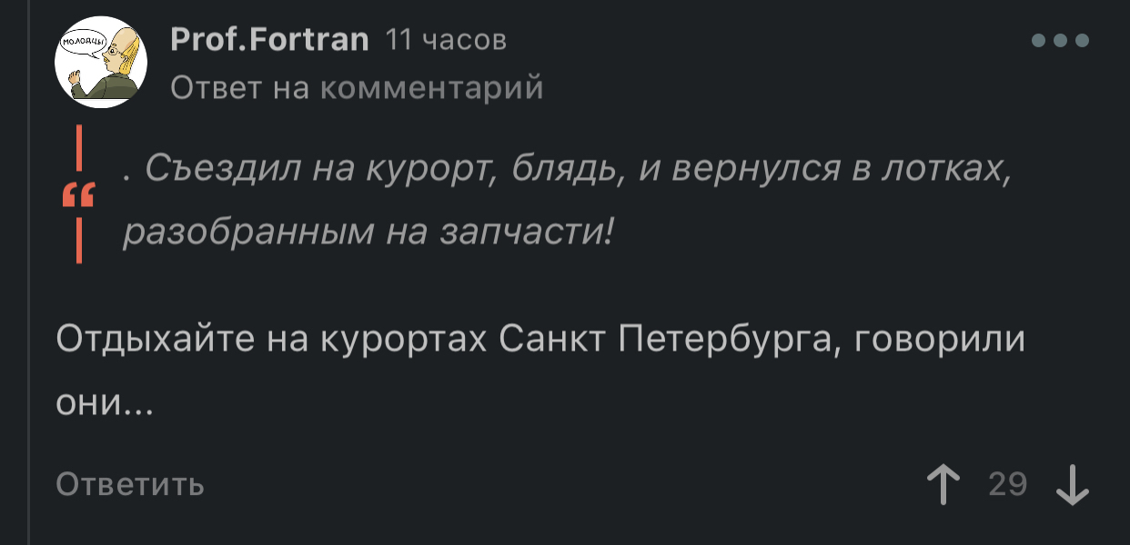 Съездил на курорт… - Мат, Юмор, Скриншот, Комментарии, Комментарии на Пикабу