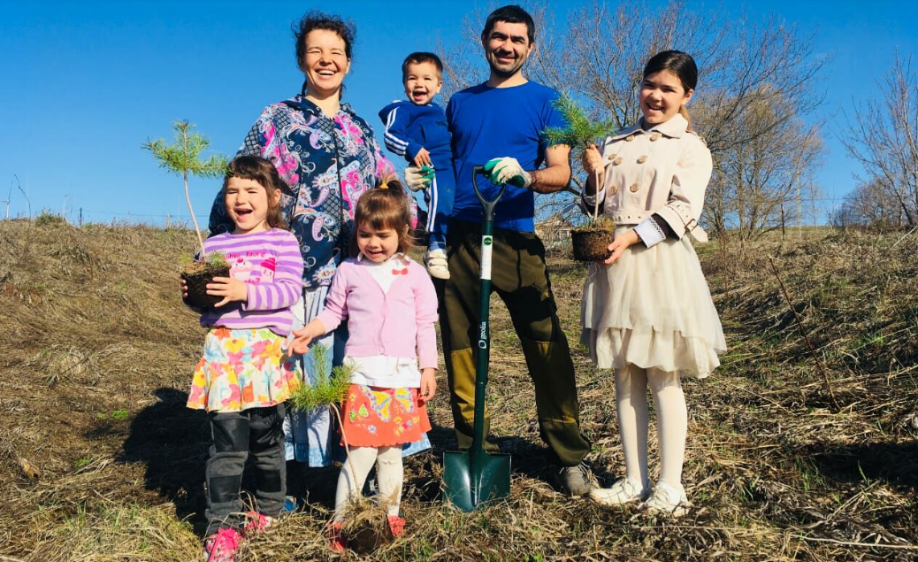 A large family from Tatarstan planted 50,000 trees in 11 years - Garbage, Ecology, Tatarstan, Tree, Good deeds, Forest