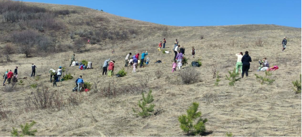 A large family from Tatarstan planted 50,000 trees in 11 years - Garbage, Ecology, Tatarstan, Tree, Good deeds, Forest