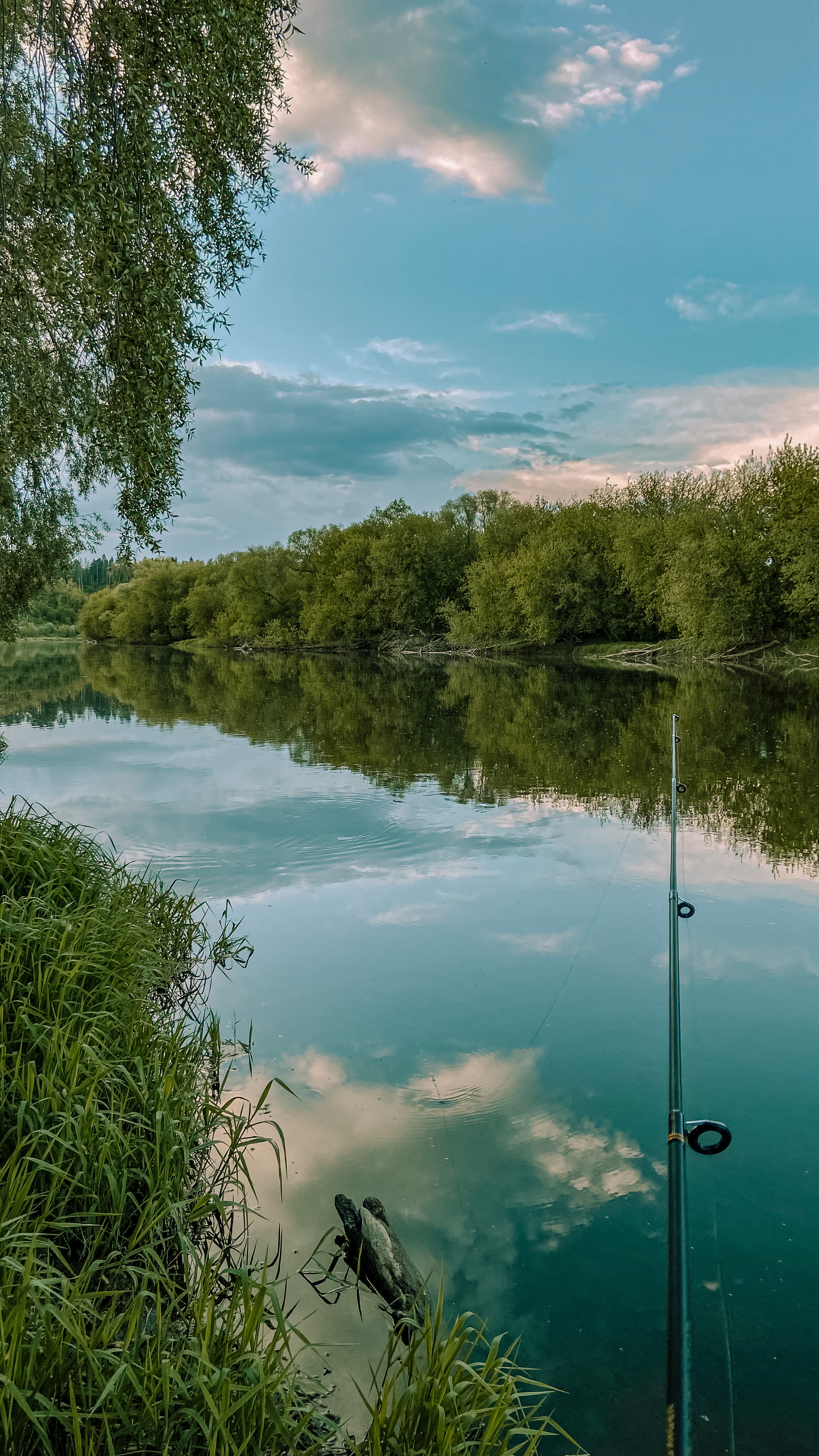 Nice evening on the river =) - My, Mobile photography, Nature, River, Moscow River, Summer, Evening, beauty of nature, Longpost