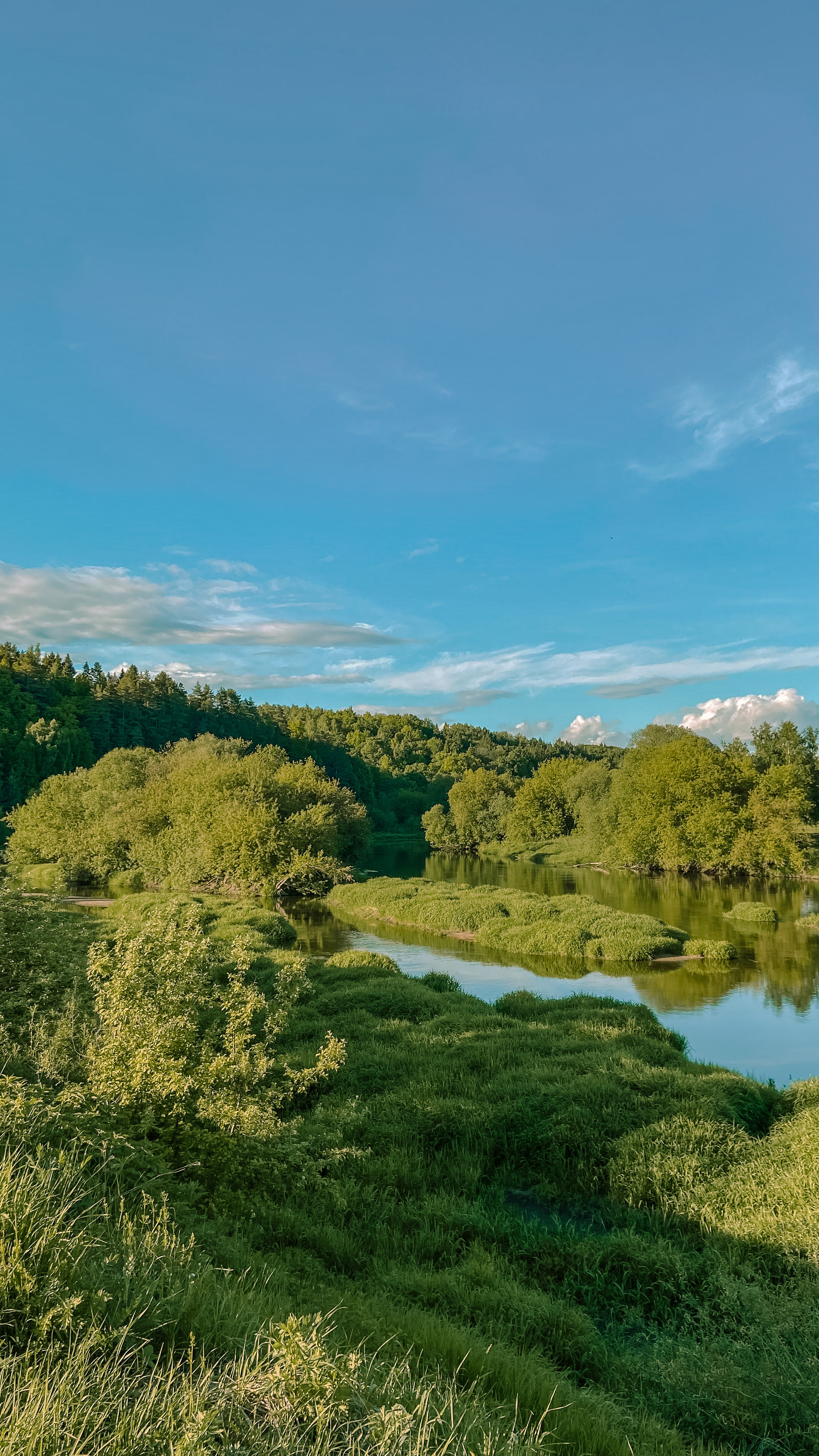 Nice evening on the river =) - My, Mobile photography, Nature, River, Moscow River, Summer, Evening, beauty of nature, Longpost