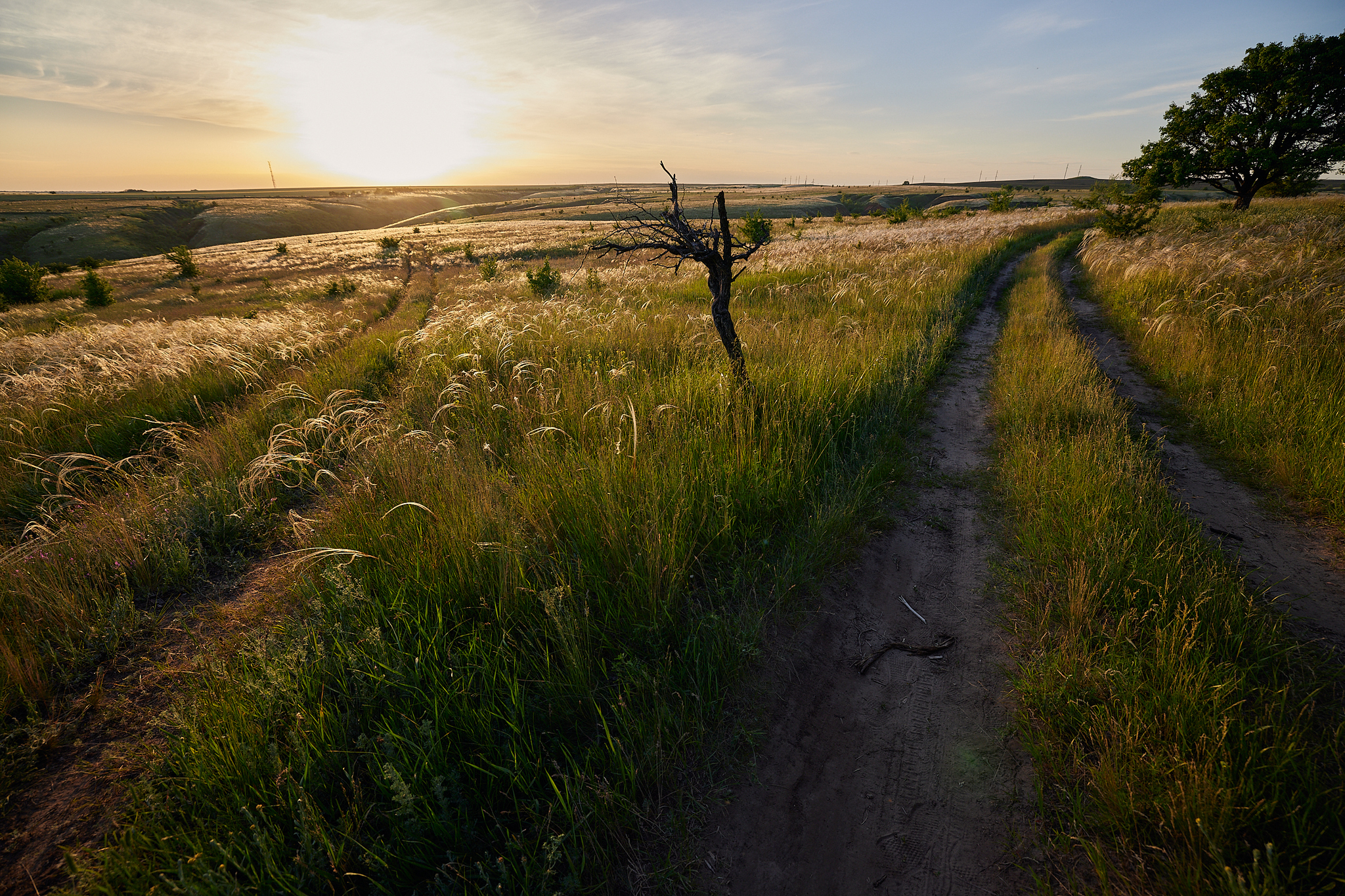 Village spaces. Volgograd region - My, The photo, Nature, Volgograd region, Sky, Sunset, Clouds, Field, Longpost