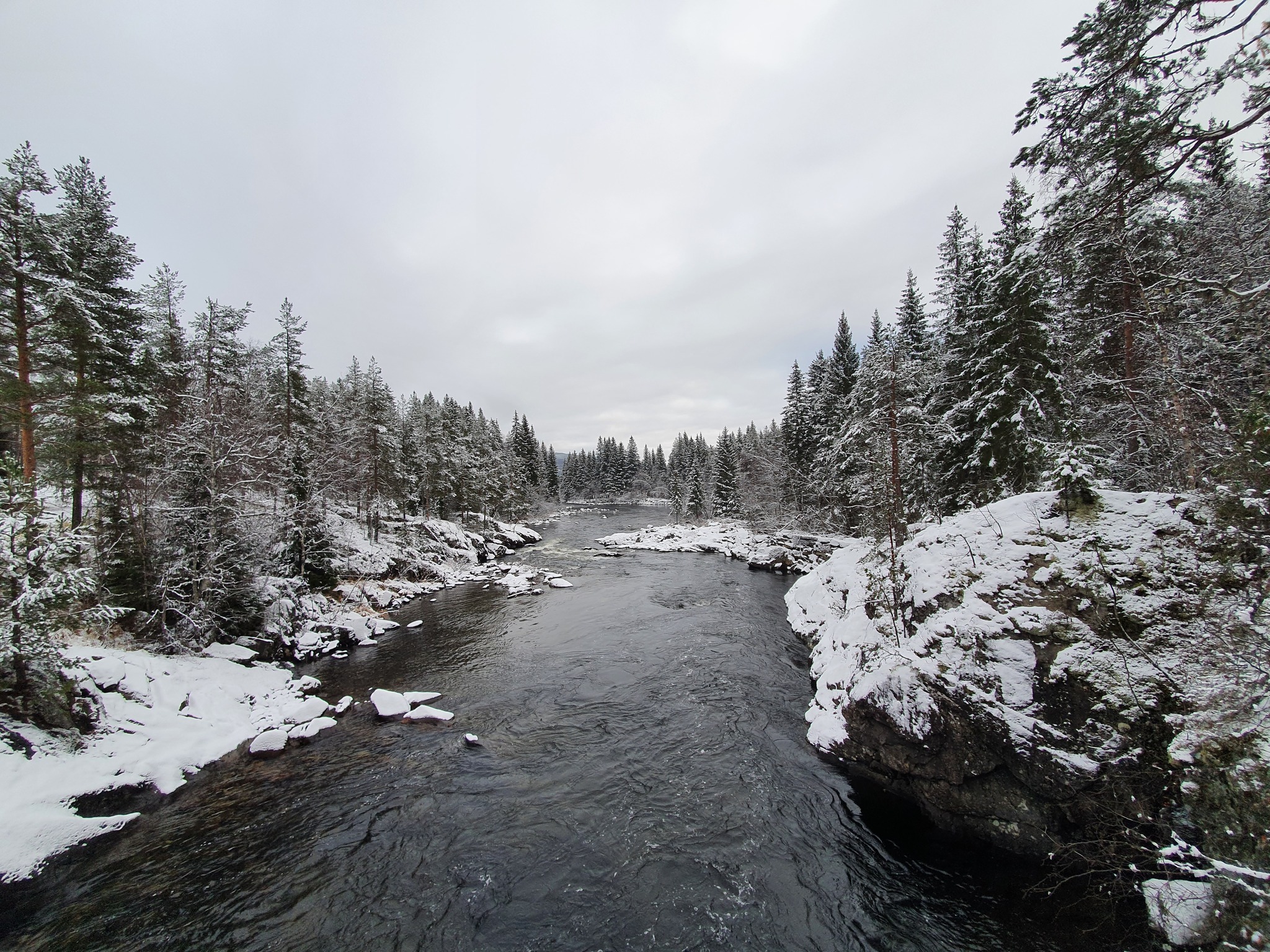 Winter in Norway - My, The photo, Video, Snowfall, Winter, Norway, Beginning photographer, Street photography, Soundless, Longpost