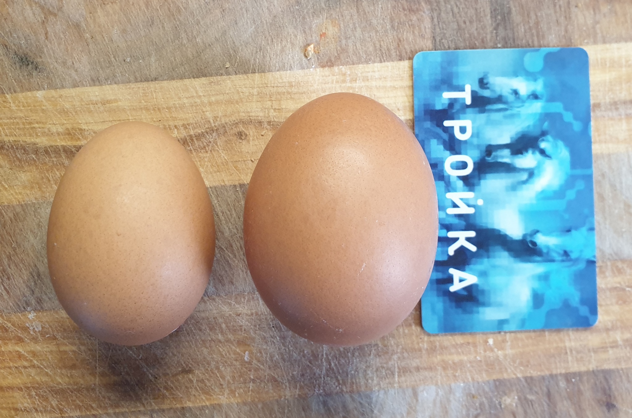 Категория яиц св. Большие и натуральные яйца. Большие яйца с0. У нас крепкие яйца.