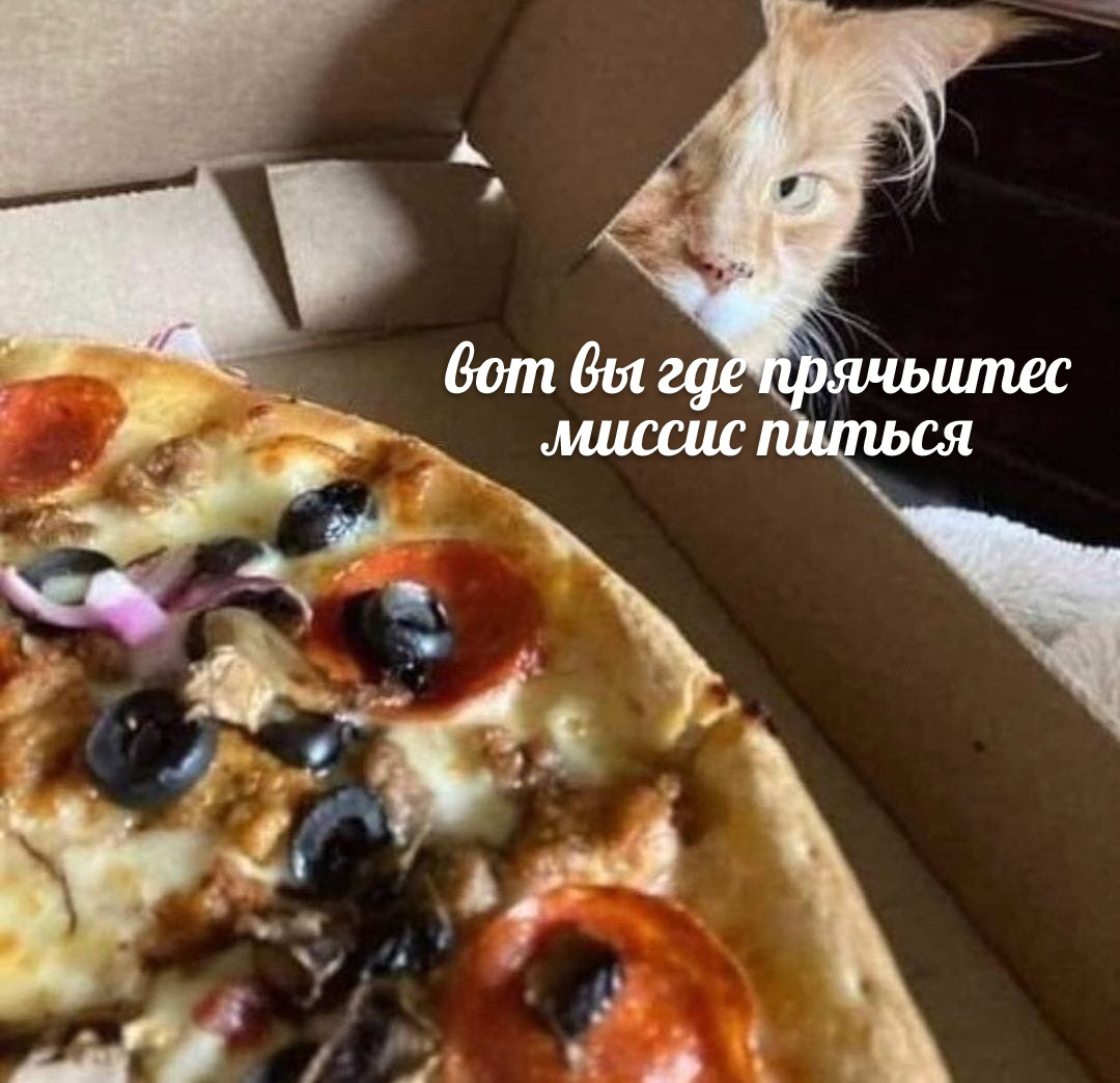 Pizza - cat, Pizza, Picture with text