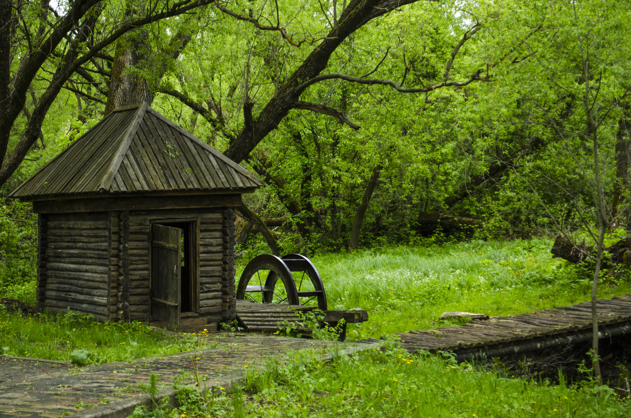 Origins of Khopra - My, The photo, Nature, Spring, Nikon d7000, 18-55 kit