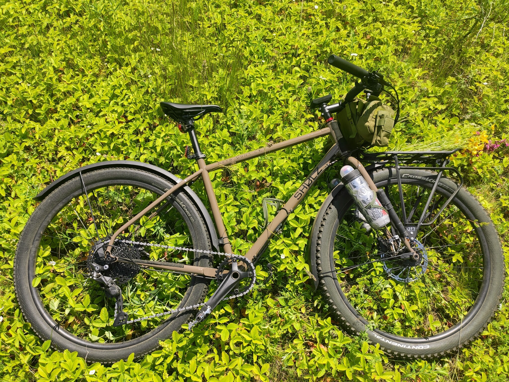 Finally summer! - My, A bike, Mobile photography, Strawberry, Ulyanovsk, Shulz, Summer