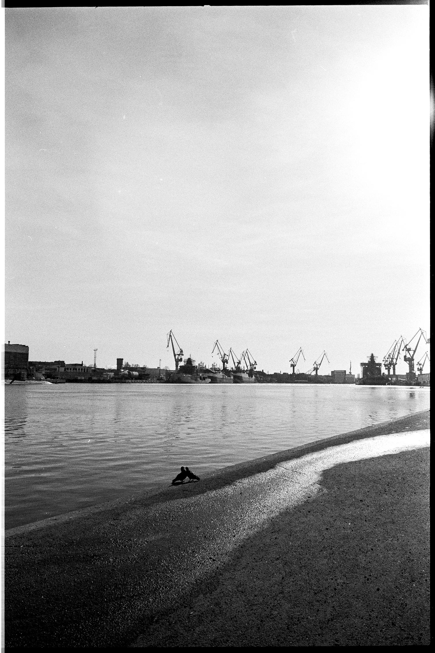 Солянка с недавних пленок - Моё, Фотография, Санкт-Петербург, Пленка, Длиннопост