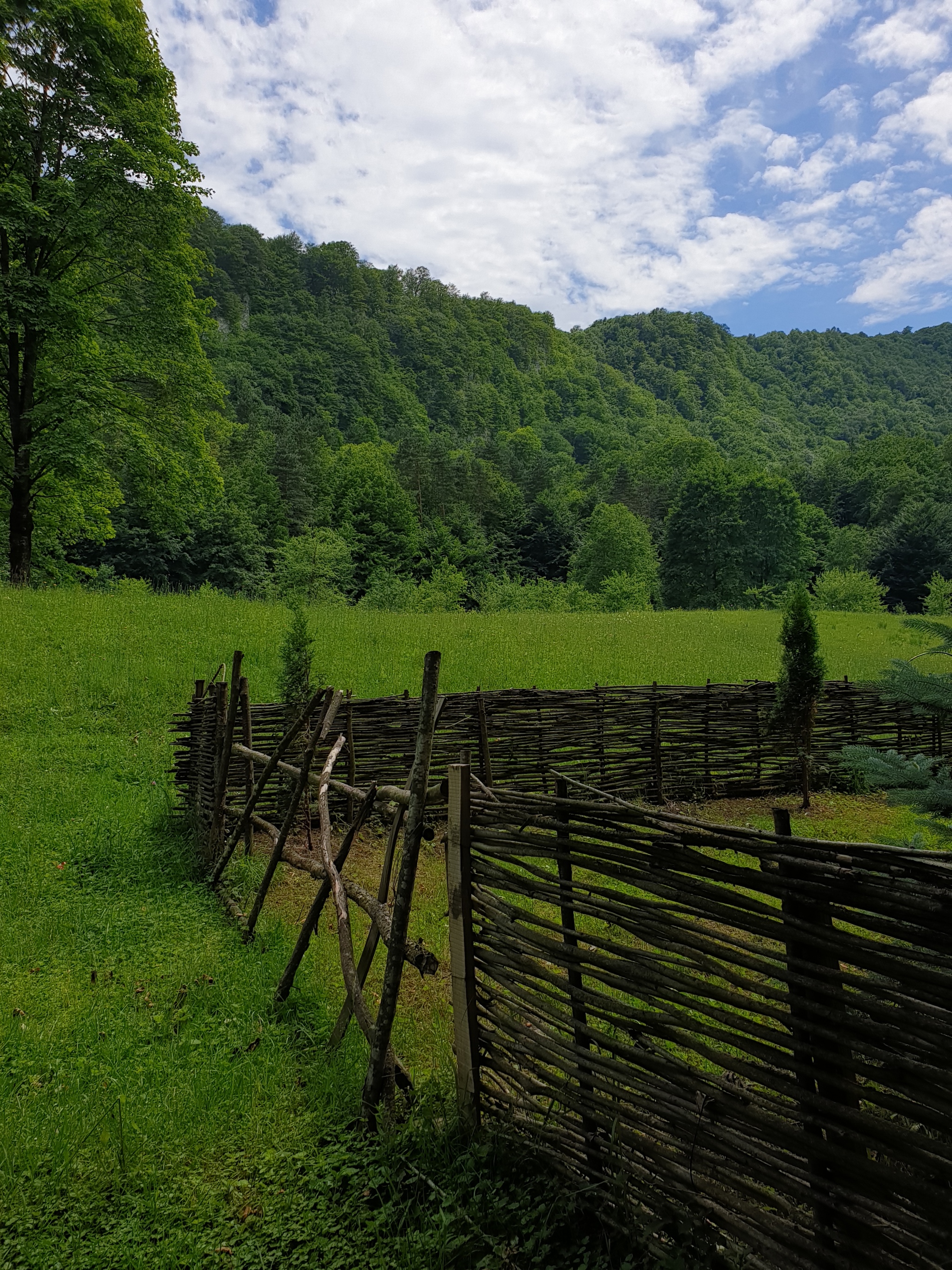 Summer in the CBD - My, Nature, The nature of Russia, Kabardino-Balkaria, Summer, The photo