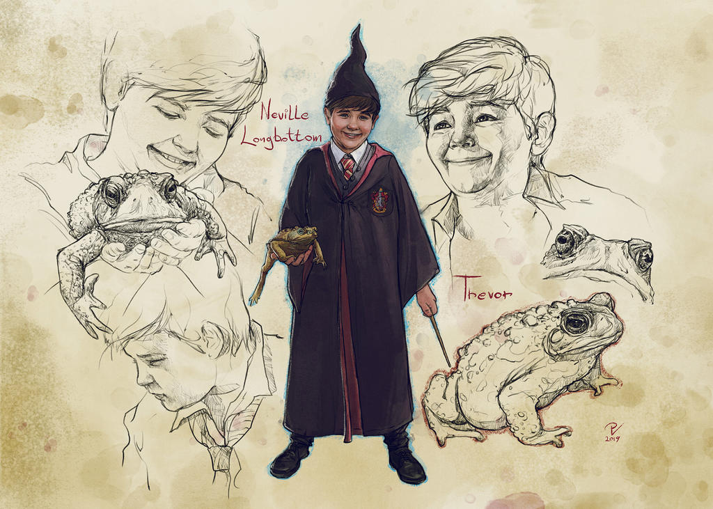 Harry Potter Fan Art - Vladislav Pantic, Beakwing, Negotiable potion, Hermione, Ron Weasley, Nyuhler, Distribution hat, Fleur Delacourt, Weasley, Neville Longbottom, Snitch, Hogwarts, Hagrid, Wingardium Leviosa, Art, Longpost, Harry Potter