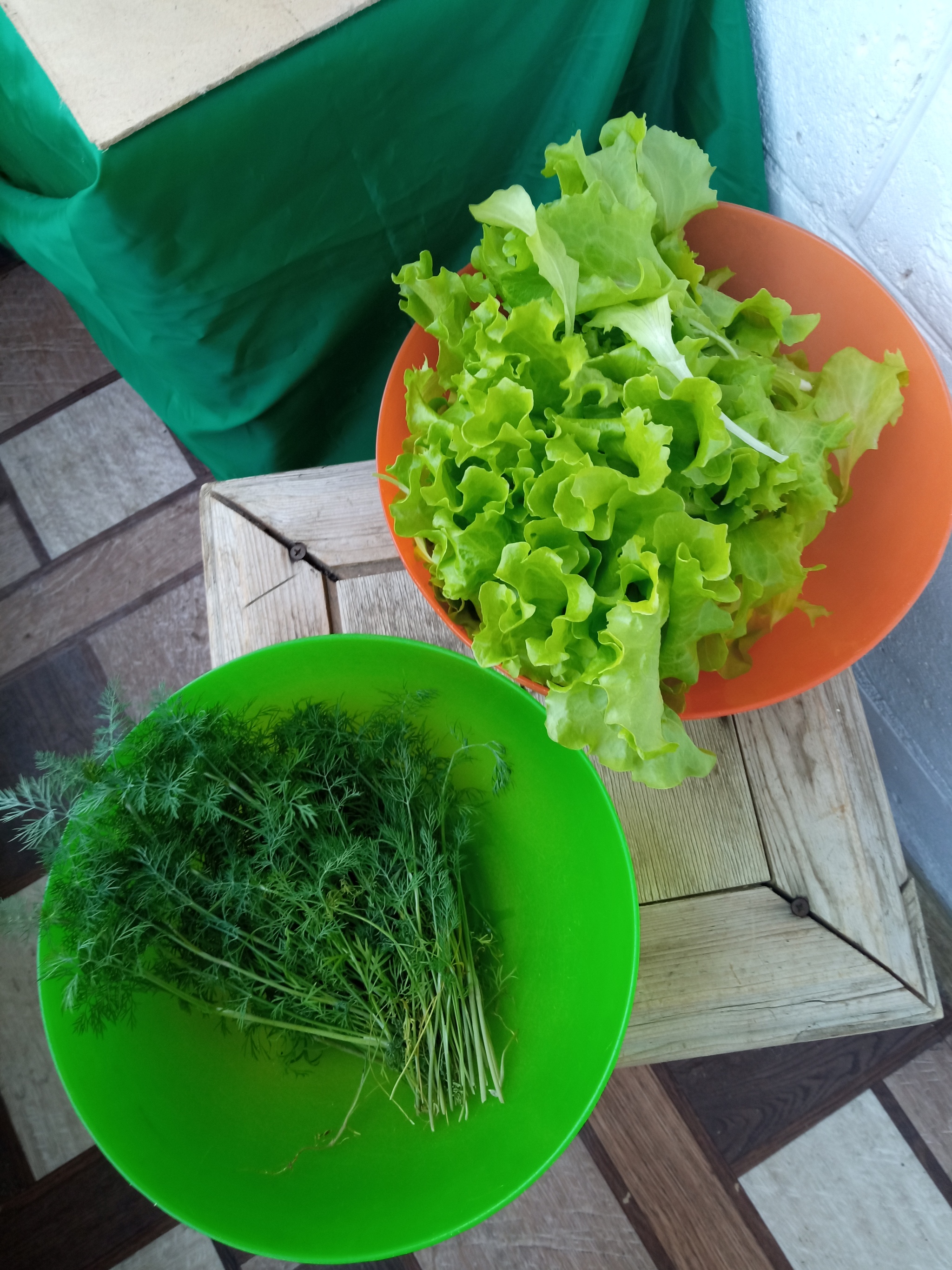 Show off your garden 2 - My, Vegetable garden on the windowsill, Seedling, Longpost