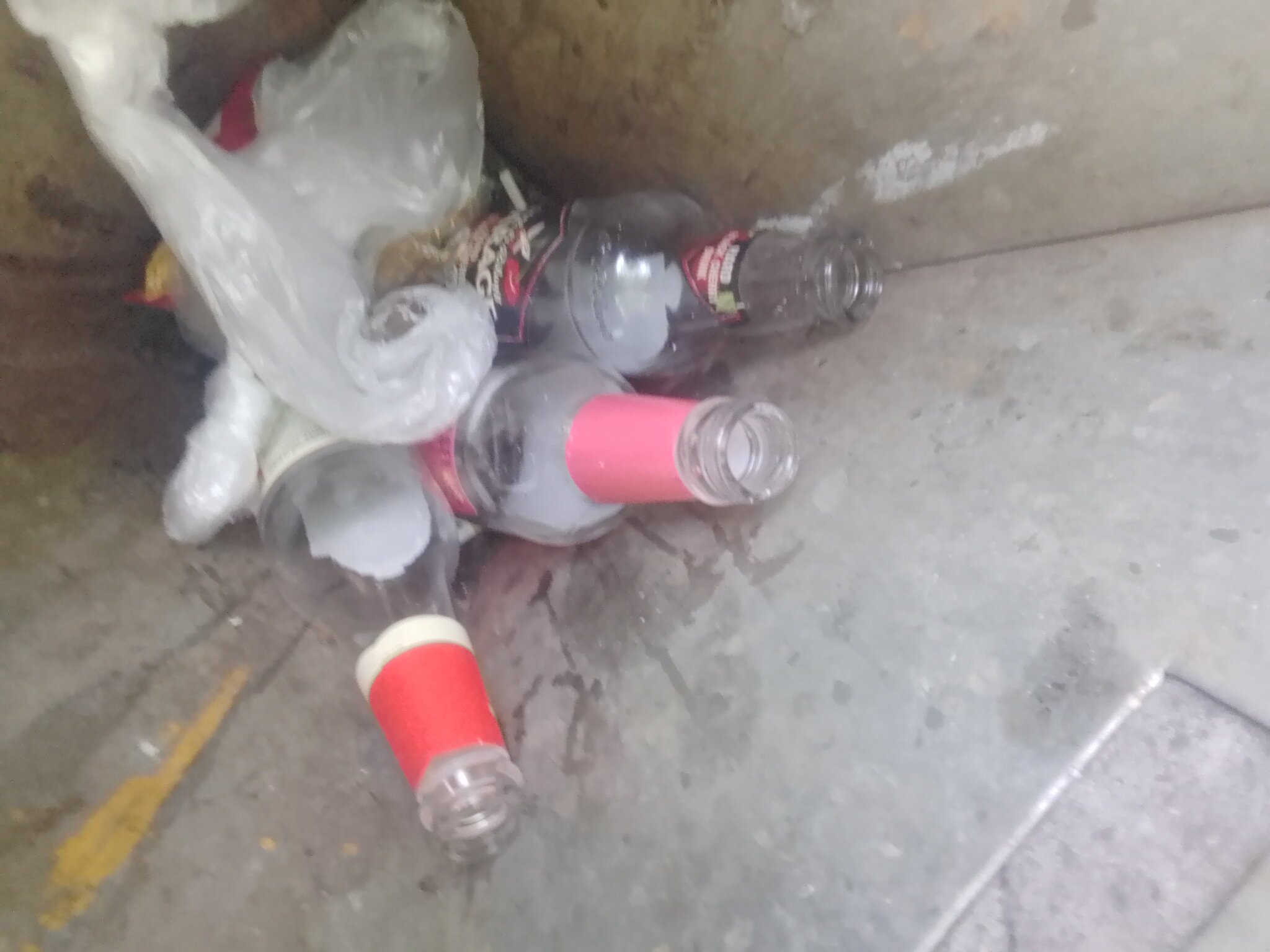 June 12, 2022. Youth booze at the 66th gymnasium in St. Petersburg - My, Vodka, Beer, Police, Ministry of Internal Affairs, Video, Vertical video, Longpost