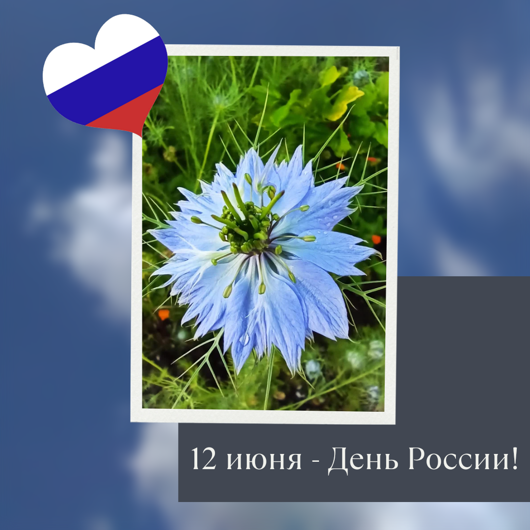 С Днём России! - Моё, День России, Праздники, Поздравление, Россия