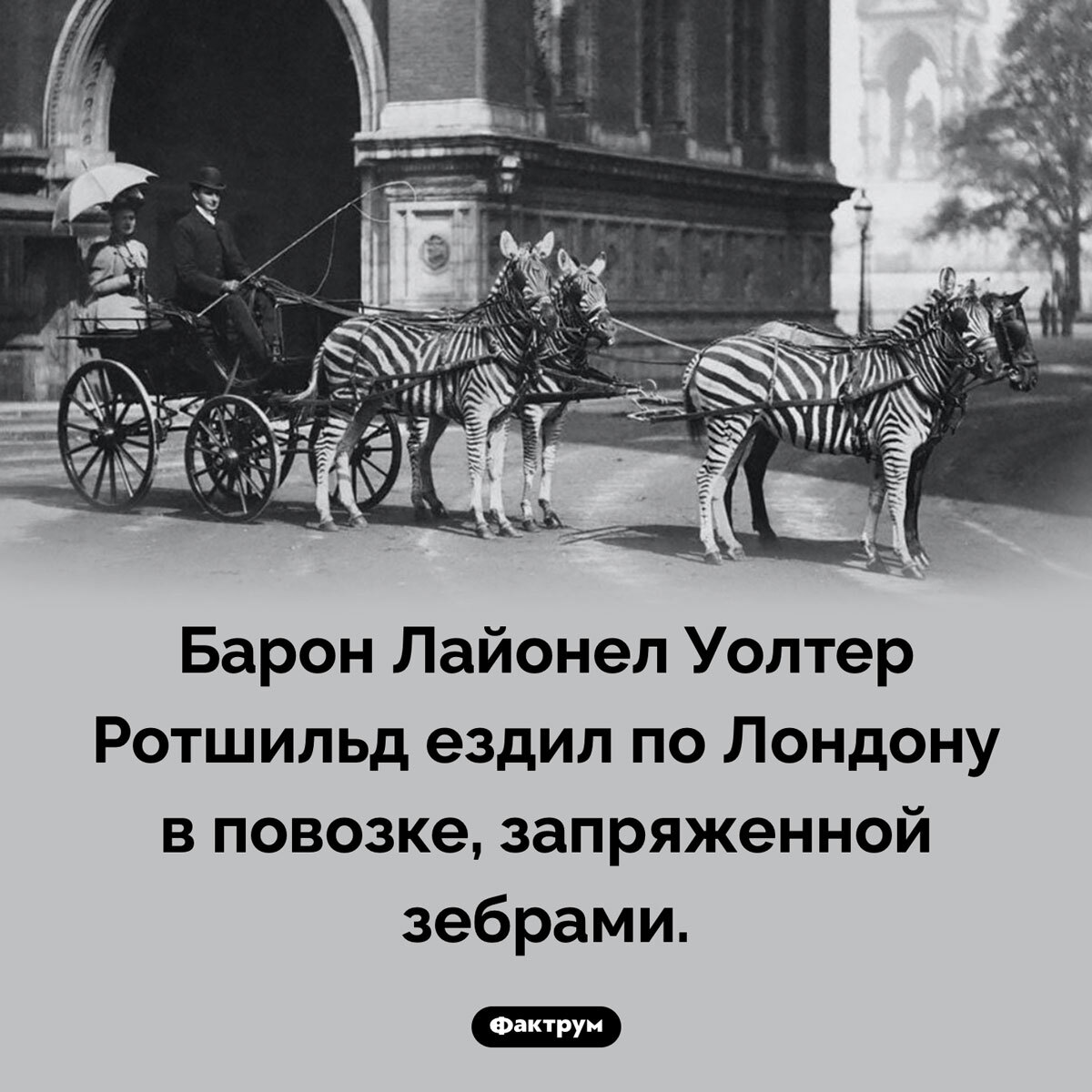 Подборка интересных фактов № 79 - Фактрум, Познавательно, Факты, Подборка, Картинка с текстом, Длиннопост