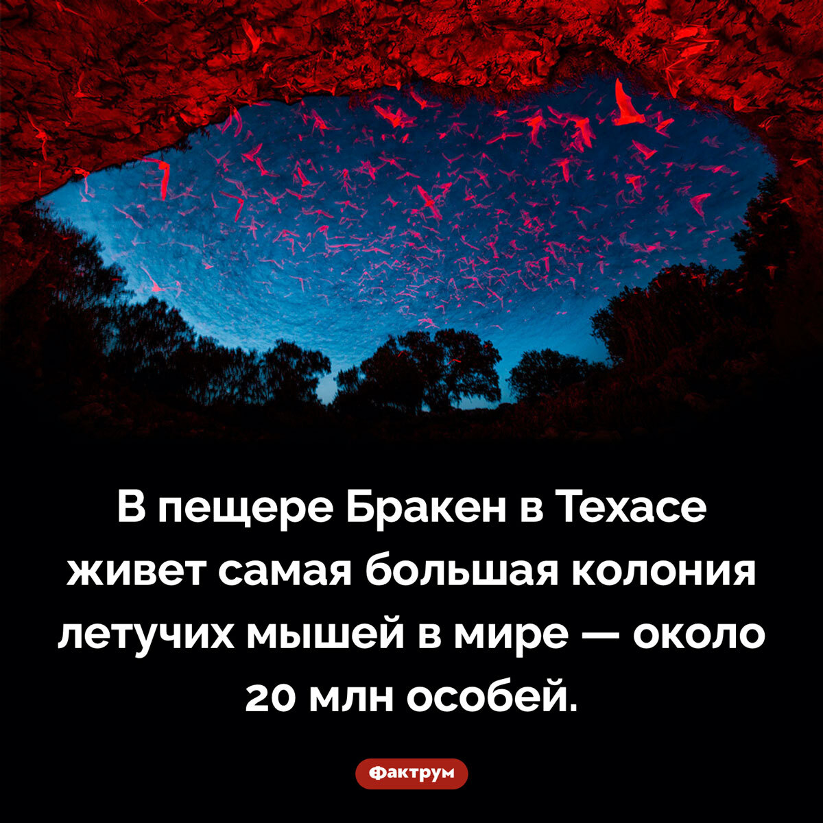 Подборка интересных фактов № 79 - Фактрум, Познавательно, Факты, Подборка, Картинка с текстом, Длиннопост