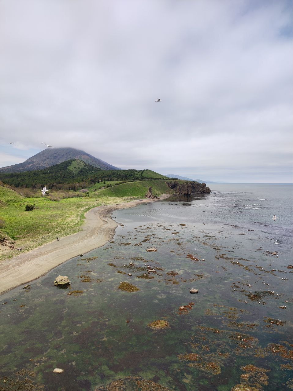 Journey to Sakhalin - My, Sakhalin, Island, Дальний Восток, Travels, Nature, Pacific Ocean, Longpost