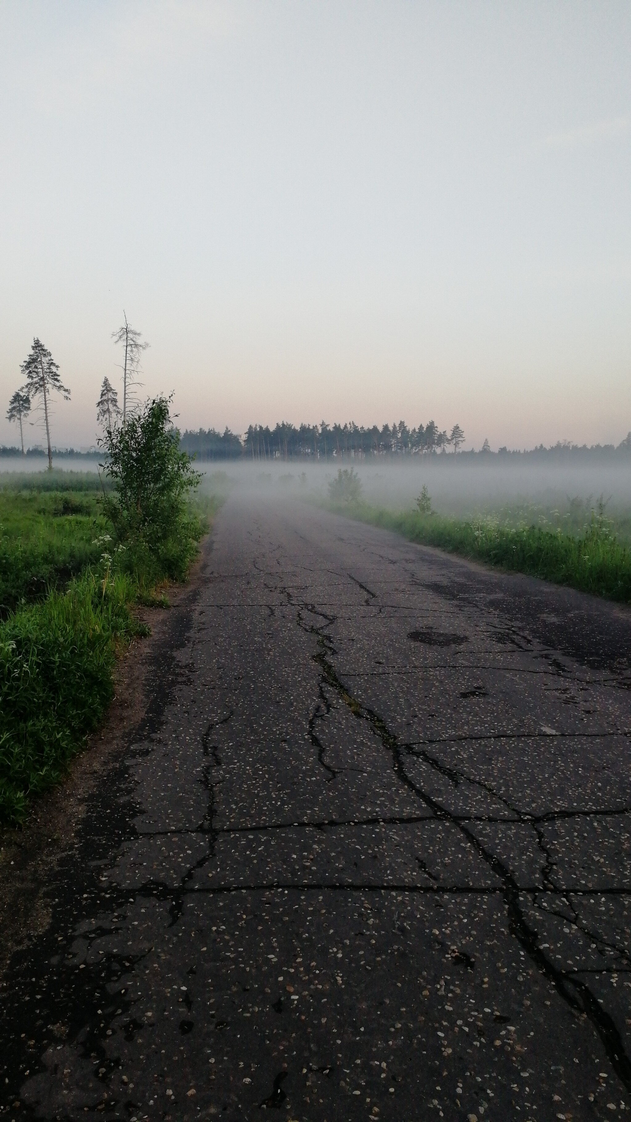 After the rain - Nature, beauty of nature, Fog, Longpost