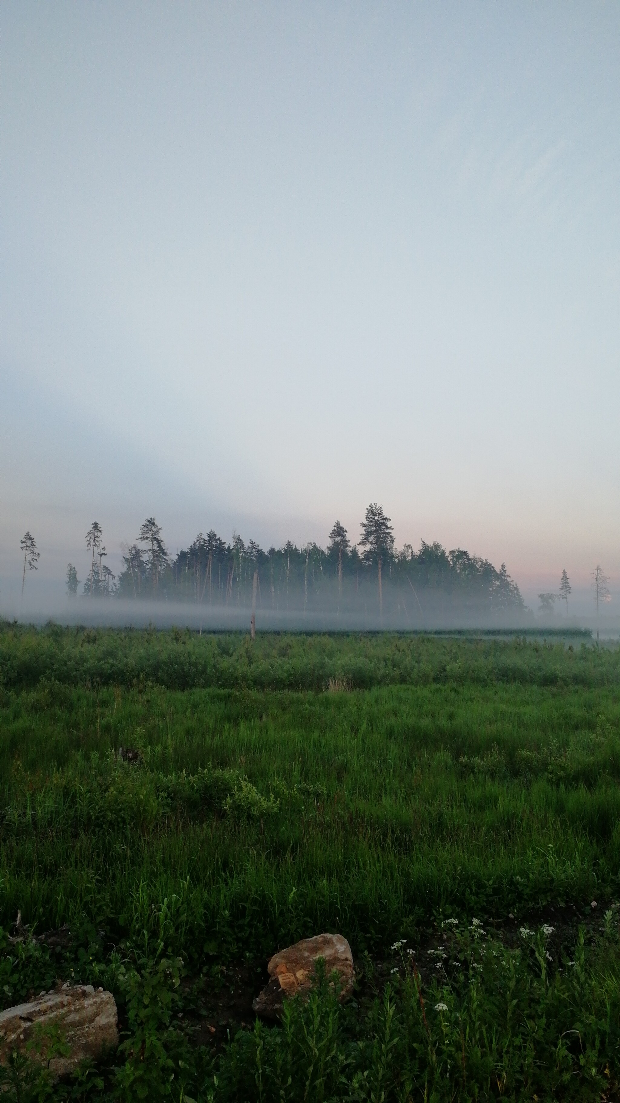 After the rain - Nature, beauty of nature, Fog, Longpost