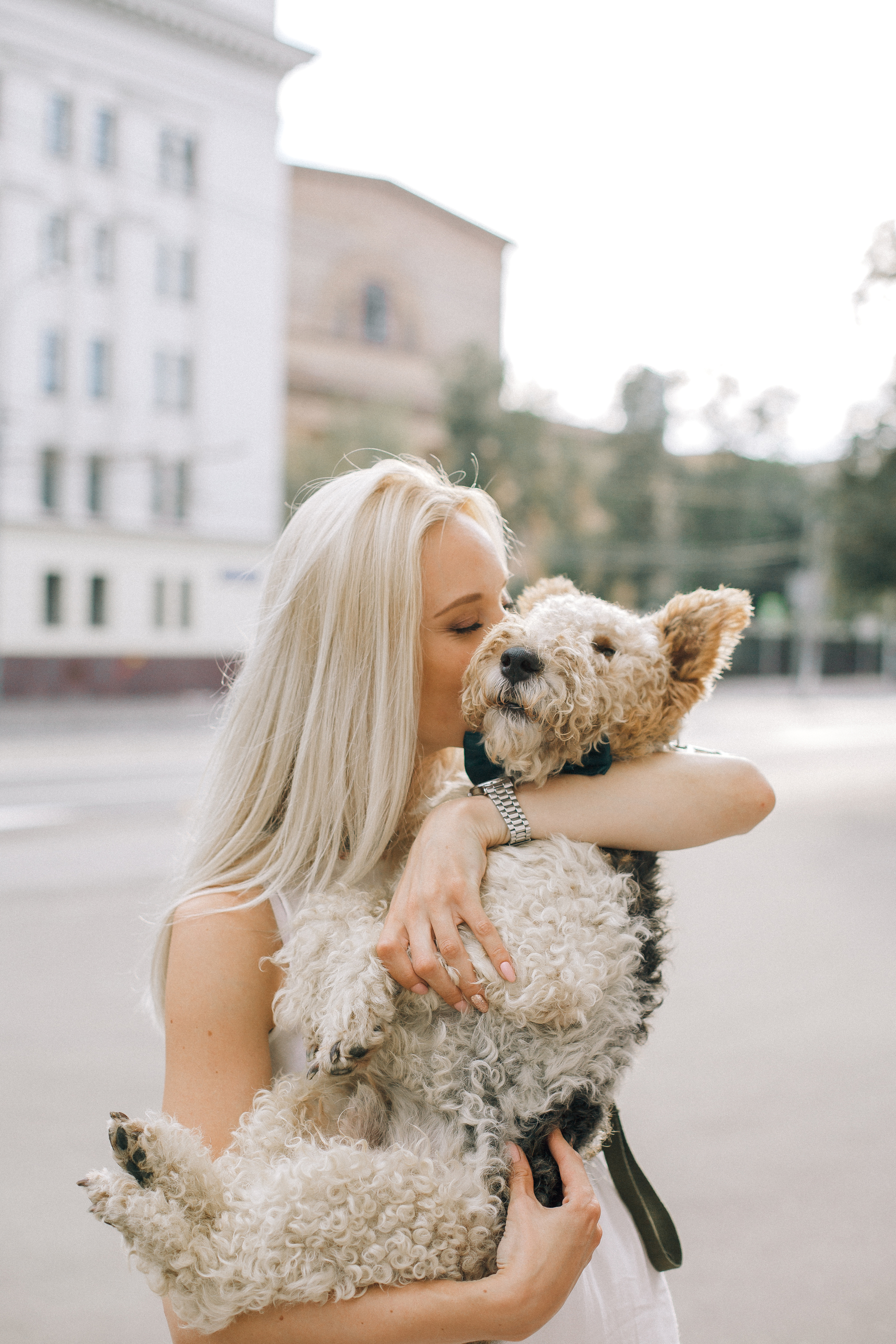 Cookie is the best friend - My, Fox terrier, Dog, Shelter, Animal shelter, Love, Longpost, Positive