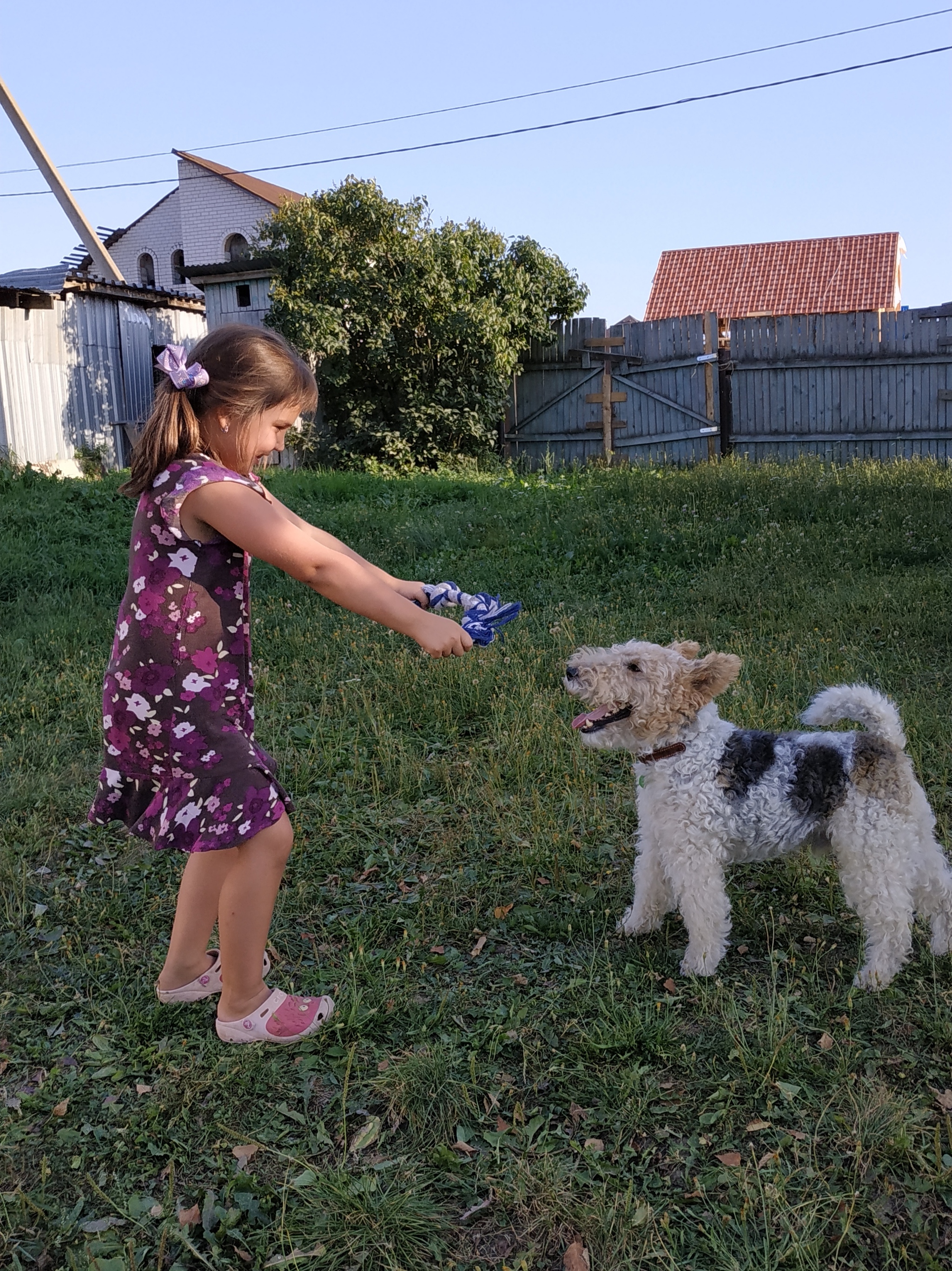 Cookie is the best friend - My, Fox terrier, Dog, Shelter, Animal shelter, Love, Longpost, Positive