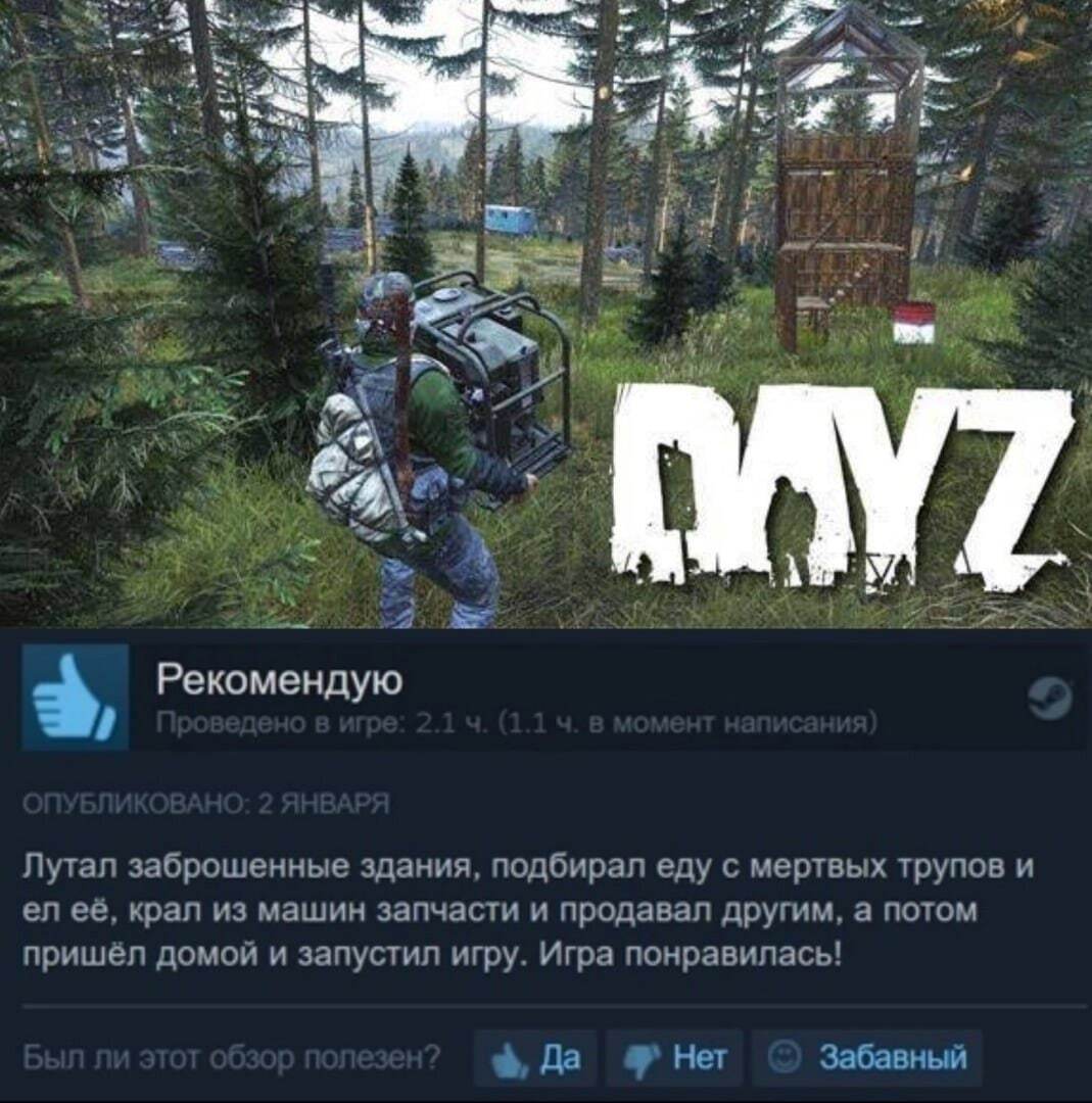 А где подробная рецензия на игру? - Игры, Компьютерные игры, DayZ, Скриншот, Steam, Отзывы Steam, Рецензия