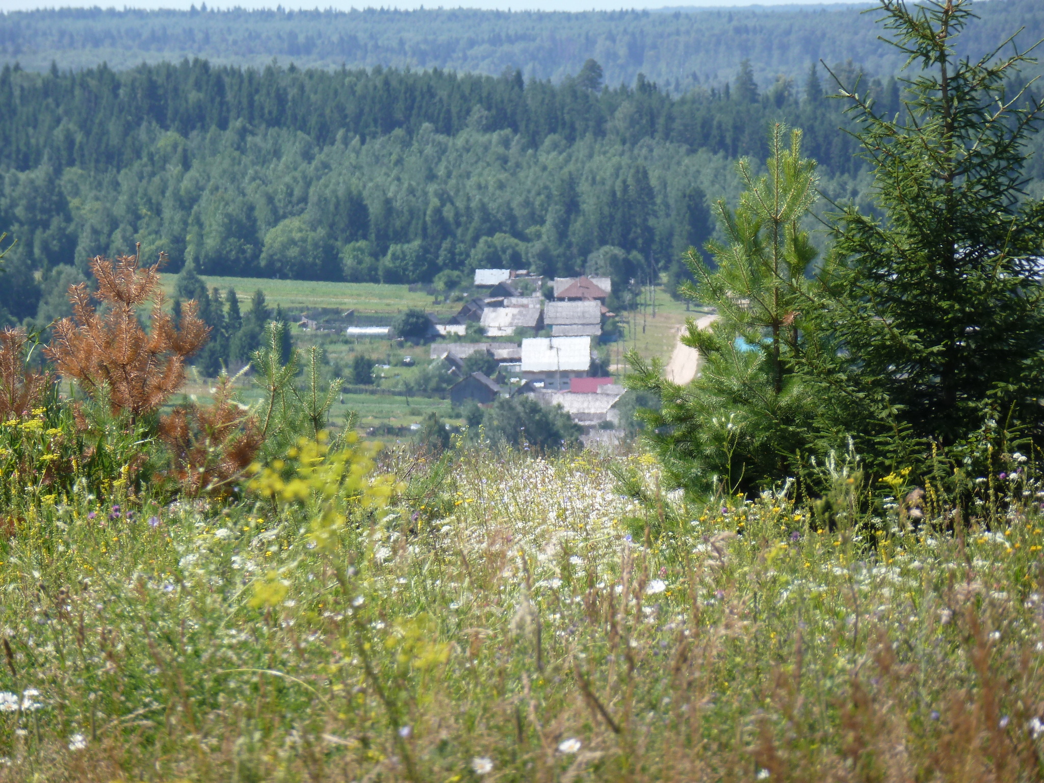 Село туда. Юность в деревне.