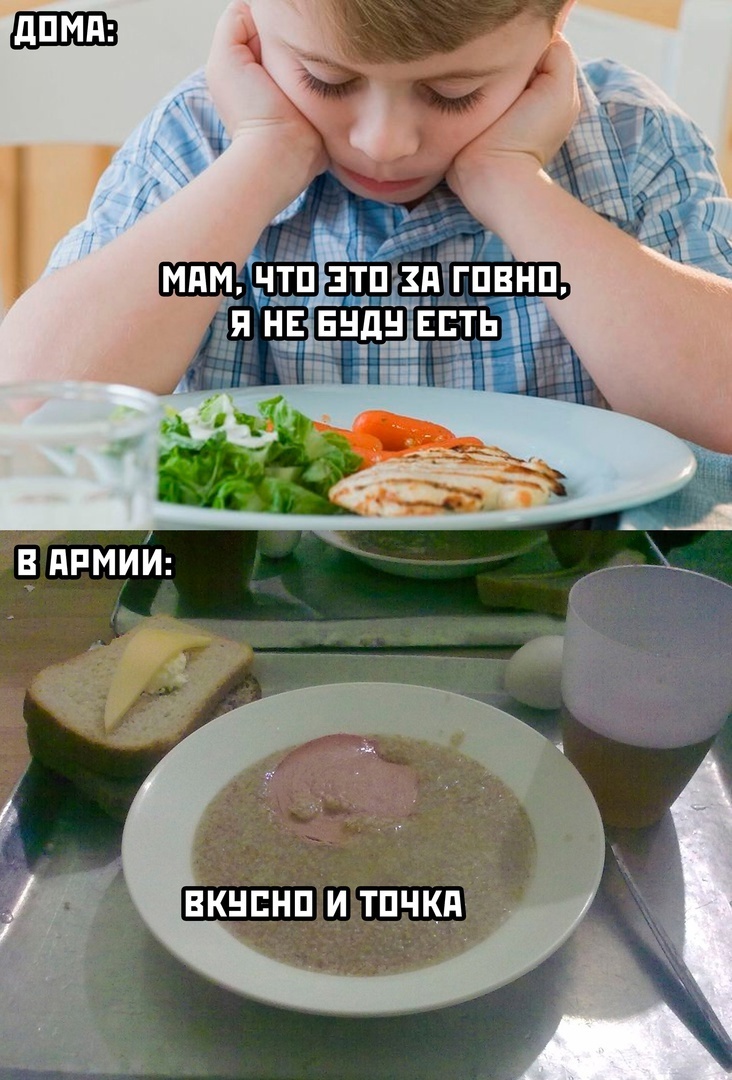 Can not argue with that - Humor, Picture with text, Tasty and period, Army, Food