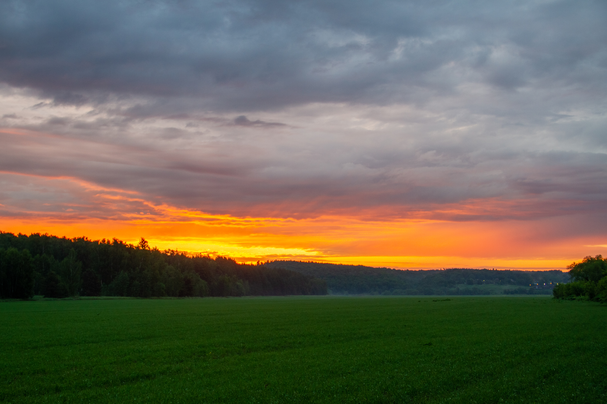 Dawn in the field - My, The nature of Russia, Nature, dawn, Fog, Longpost, Field, The photo