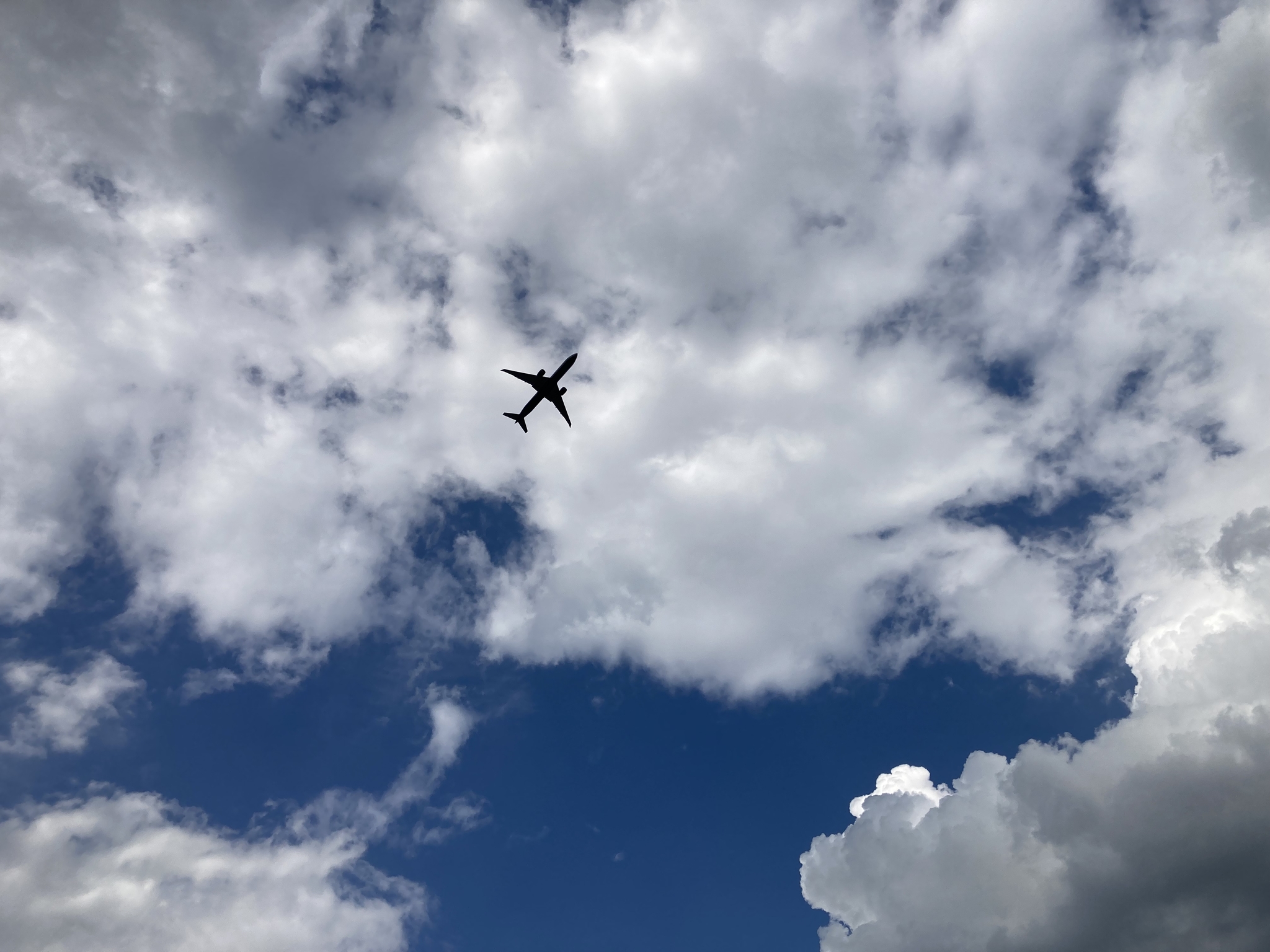 Airplane - My, The photo, Airplane, Sky, Clouds