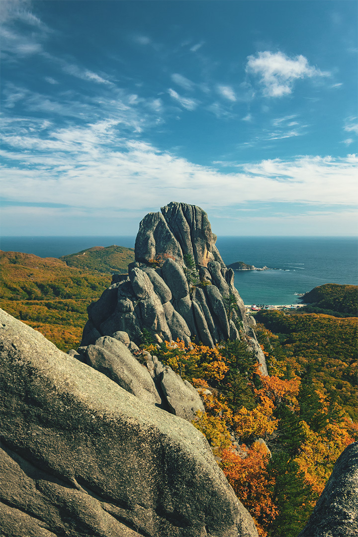 Valley of the Atlantes, Primorsky Krai. - My, Дальний Восток, Primorsky Krai, The nature of Russia, The photo, , Longpost