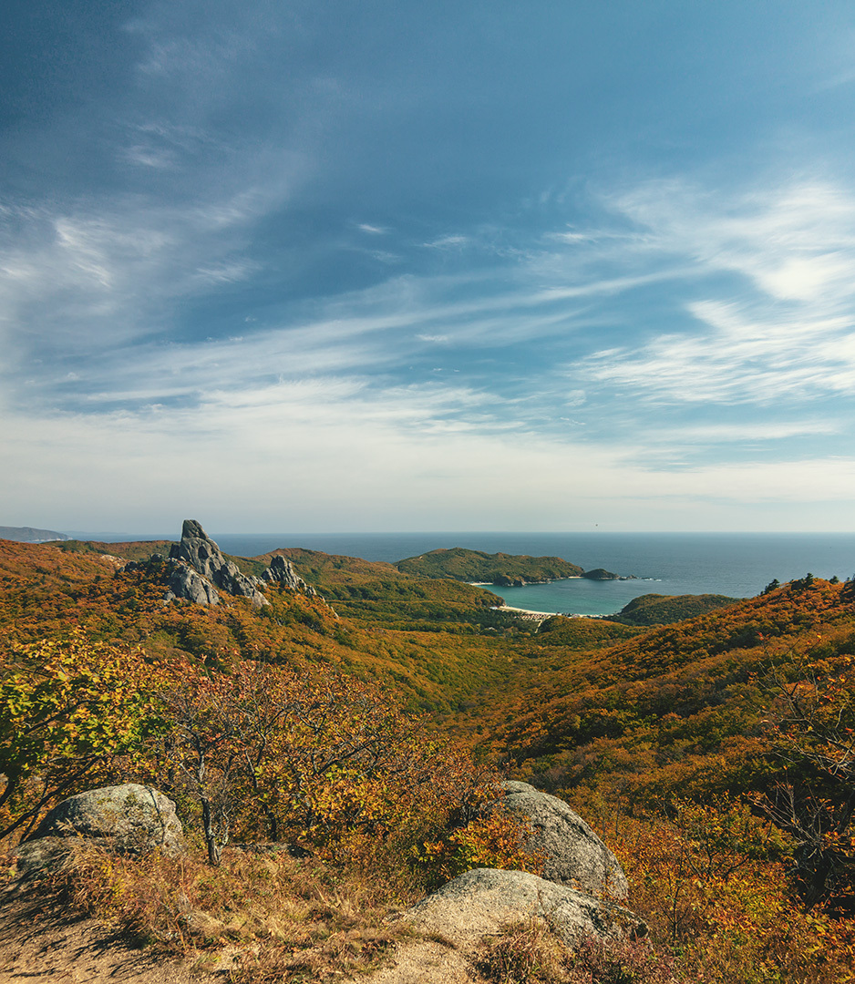 Valley of the Atlantes, Primorsky Krai. - My, Дальний Восток, Primorsky Krai, The nature of Russia, The photo, , Longpost