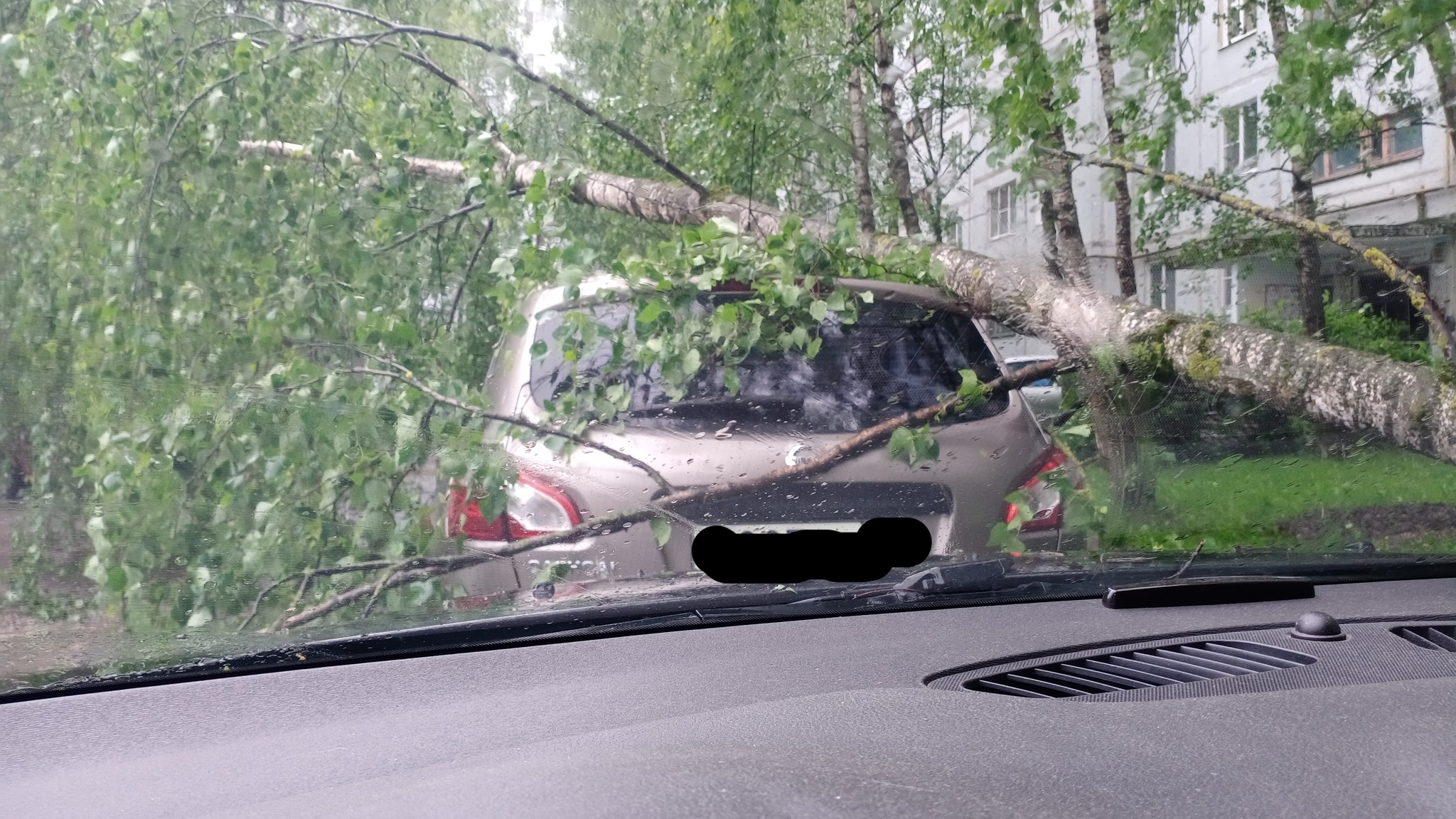 The morning does not begin with coffee... - My, Tree, Bad weather, Luck, Auto