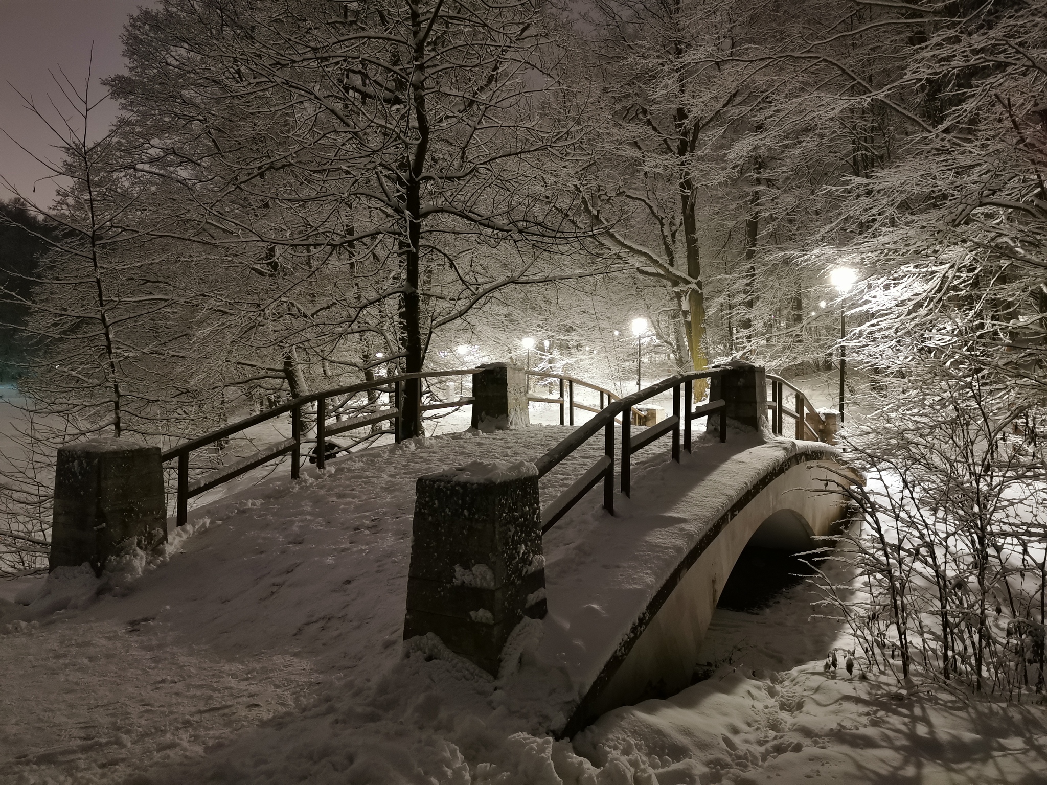 Night in Tsaritsyno - My, Mobile photography, Bridge, Winter, Night