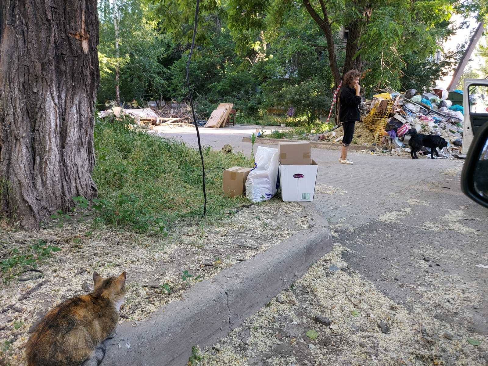 Котоэкспресс в Мариуполе - Моё, Сила Пикабу, Пикабушники, Кот, Добровспышка, Мариуполь, ДНР, Поездка, Гуманитарная помощь, Помощь животным, Благодарность, Видео, Длиннопост, Без рейтинга