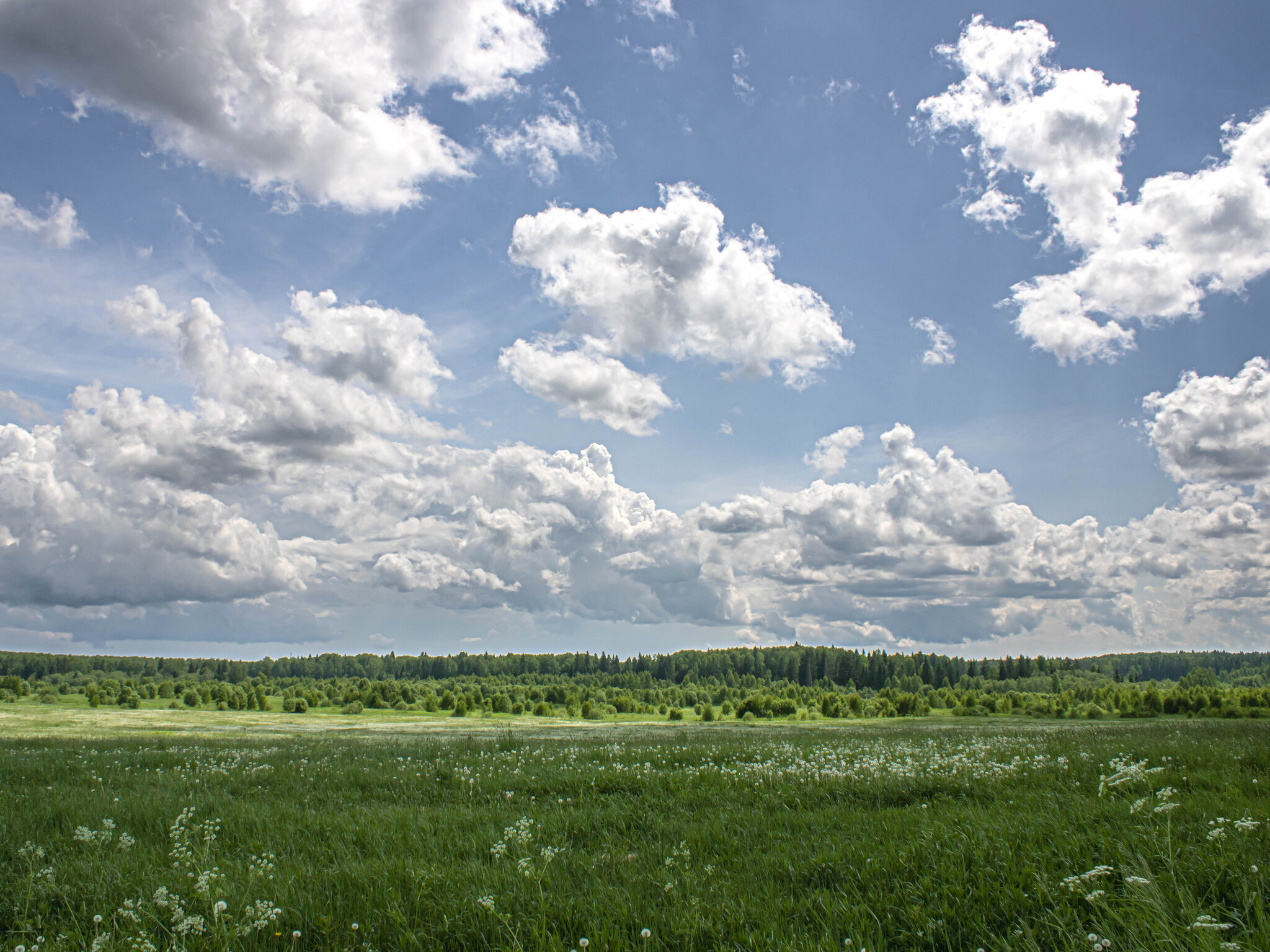 Paradise fields - My, The photo, Clouds, Landscape, beauty of nature, Field, Summer, Nature