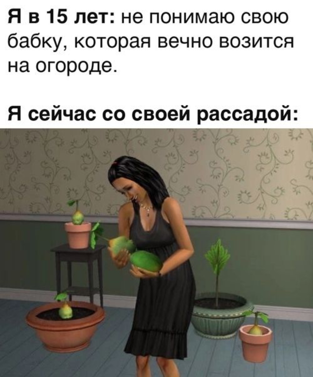 Seedling - Seedling, Garden, Garden, Dacha, Plants, Picture with text, Humor