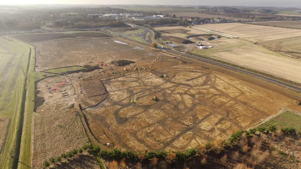 Mysterious frog graveyard with thousands of bones discovered in England - Frogs, Toad, Amphibians, Cemetery, Archaeological excavations, Archeology, Archaeological finds, Wild animals, England, Great Britain, Unknown, Ditch, Ancient people, Settlement, Bones, Biologists, Research, University, Santa Barbara, USA, Longpost