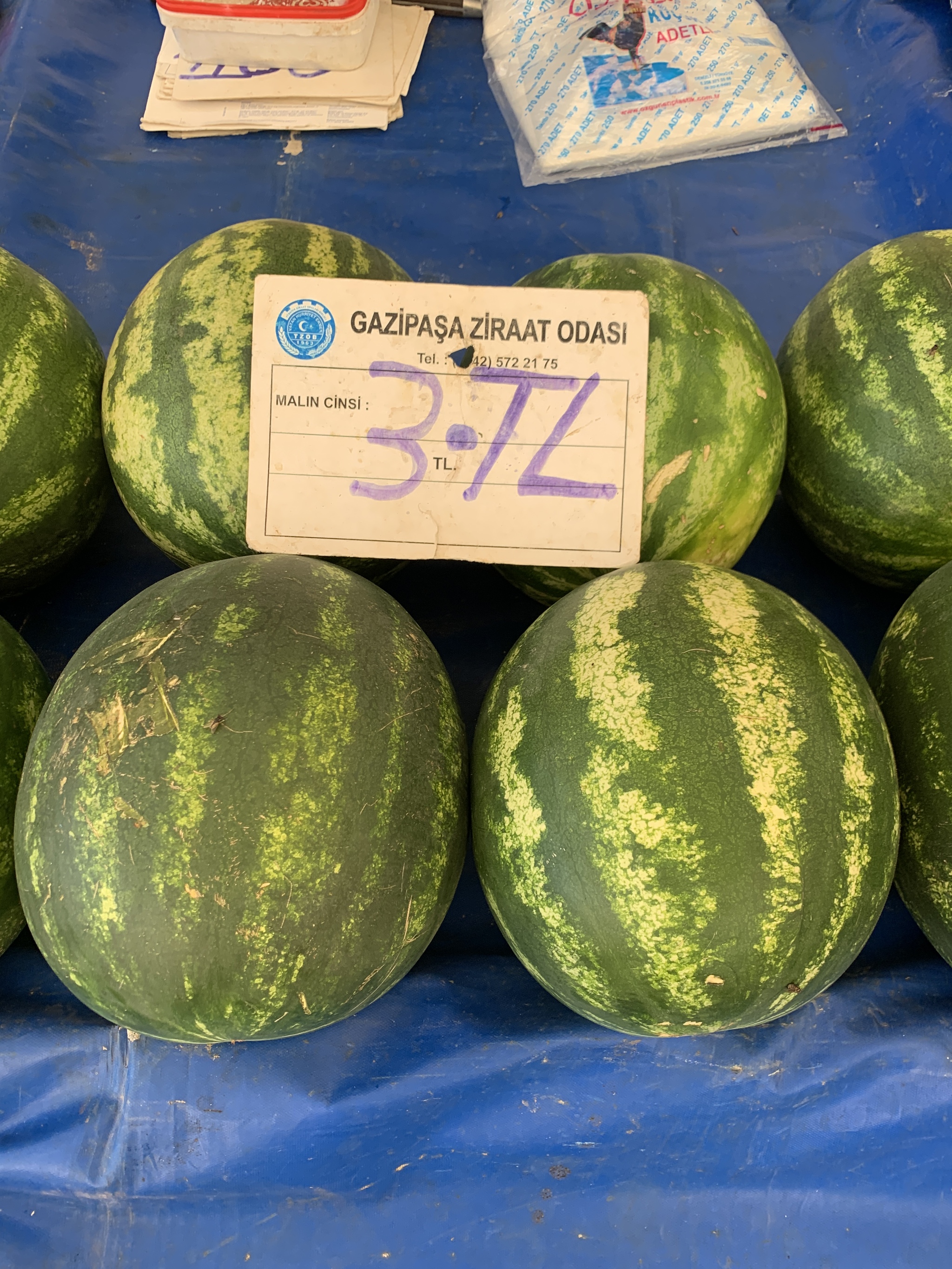 Prices for fruits and vegetables in Turkey now - June 2022. In the city of Gazipasa - My, Turkey, Prices, Longpost, Vegetables, Фрукты, Gazipasa