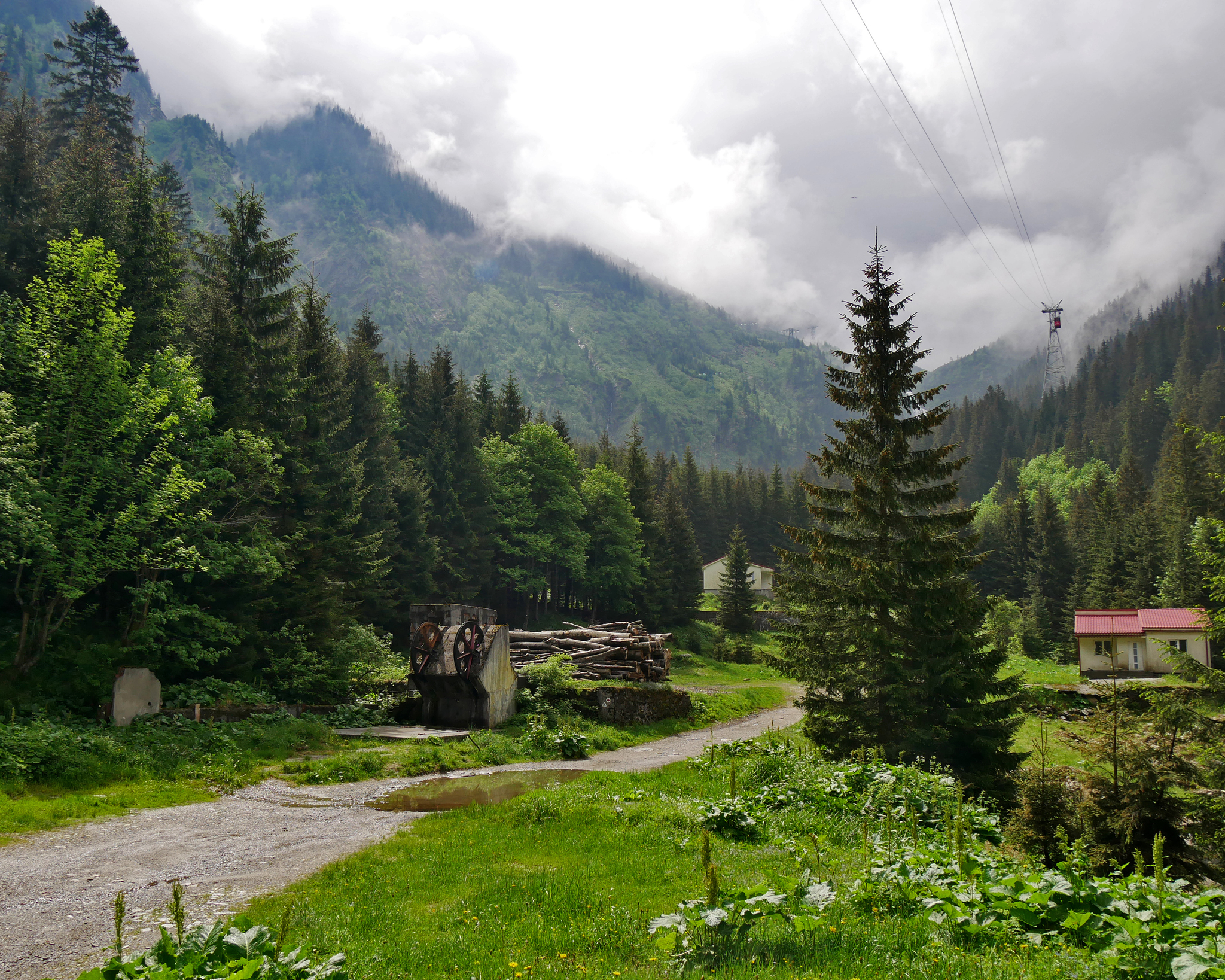 В Румынию на пару дней - Моё, Путешествия, Румыния, Фотография, Достопримечательности, Замки, Длиннопост