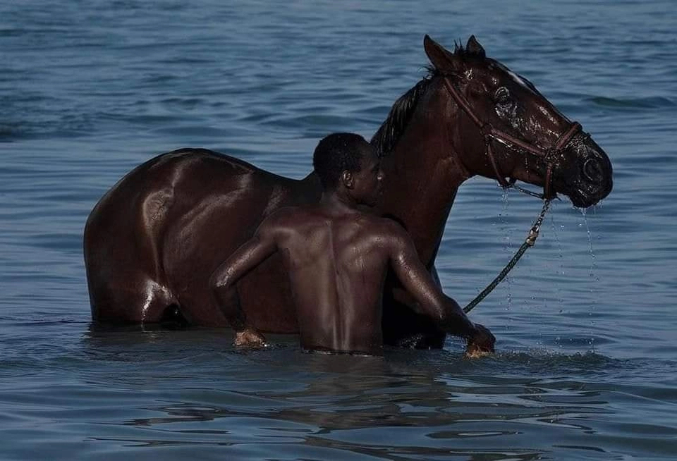 I can't think of a name... - Black people, Horses, Bathing, The photo